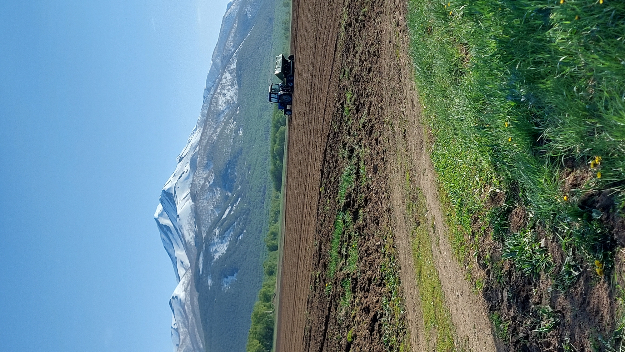 A blue tractor is cultivating a field under a clear sky. The field is composed of dark brown soil, freshly tilled with visible furrows. In the distance, a majestic mountain range is snow-capped. The foreground features a grassy area with dandelions. The image is a vertical shot.