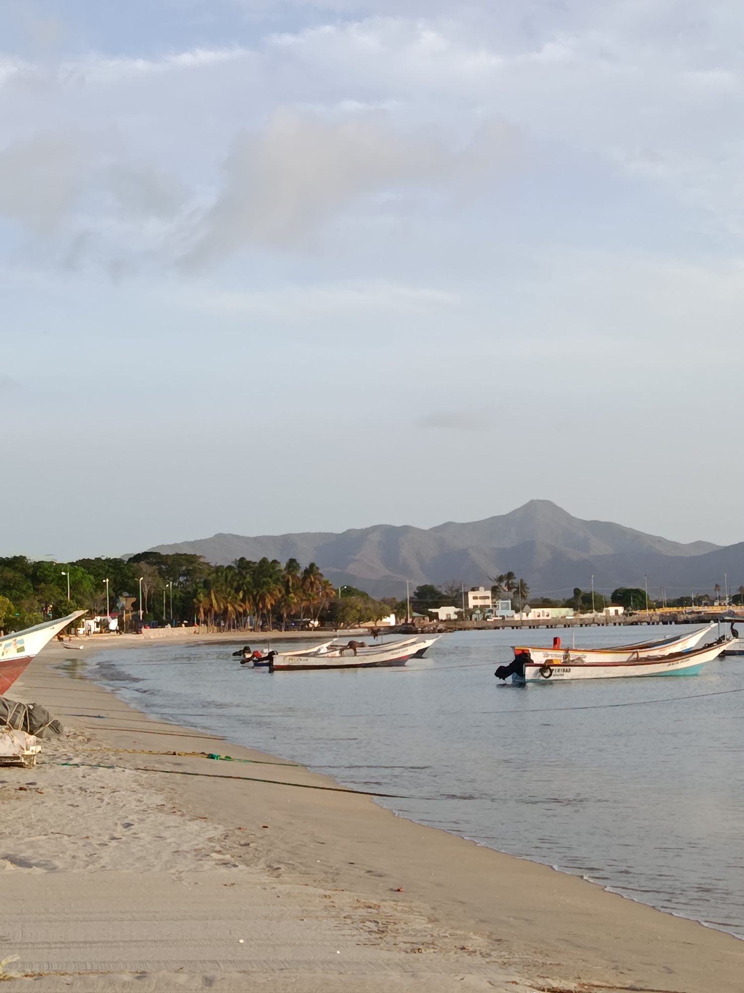The image depicts a serene coastal scene in Juan Griego, Venezuela, likely during the late afternoon or early morning due to the soft lighting. The foreground features a sandy beach with tire tracks and several ropes laid out, suggesting recent activity or preparation for docking boats. The water is calm and reflects the muted colors of the sky. Several small, brightly colored fishing boats are anchored in the bay, some with visible engines.
In the mid-ground, a tree-lined shoreline is visible, with a mix of palm trees and other tropical foliage. Behind the trees, there are scattered buildings, possibly residences or businesses, and lampposts line what appears to be a road. The background is dominated by a range of imposing, hazy mountains, characteristic of Isla Margarita's topography. The sky above is partly cloudy, with soft, diffused sunlight filtering through. No people are clearly visible in the frame. The overall impression is one of a quiet, picturesque coastal community.