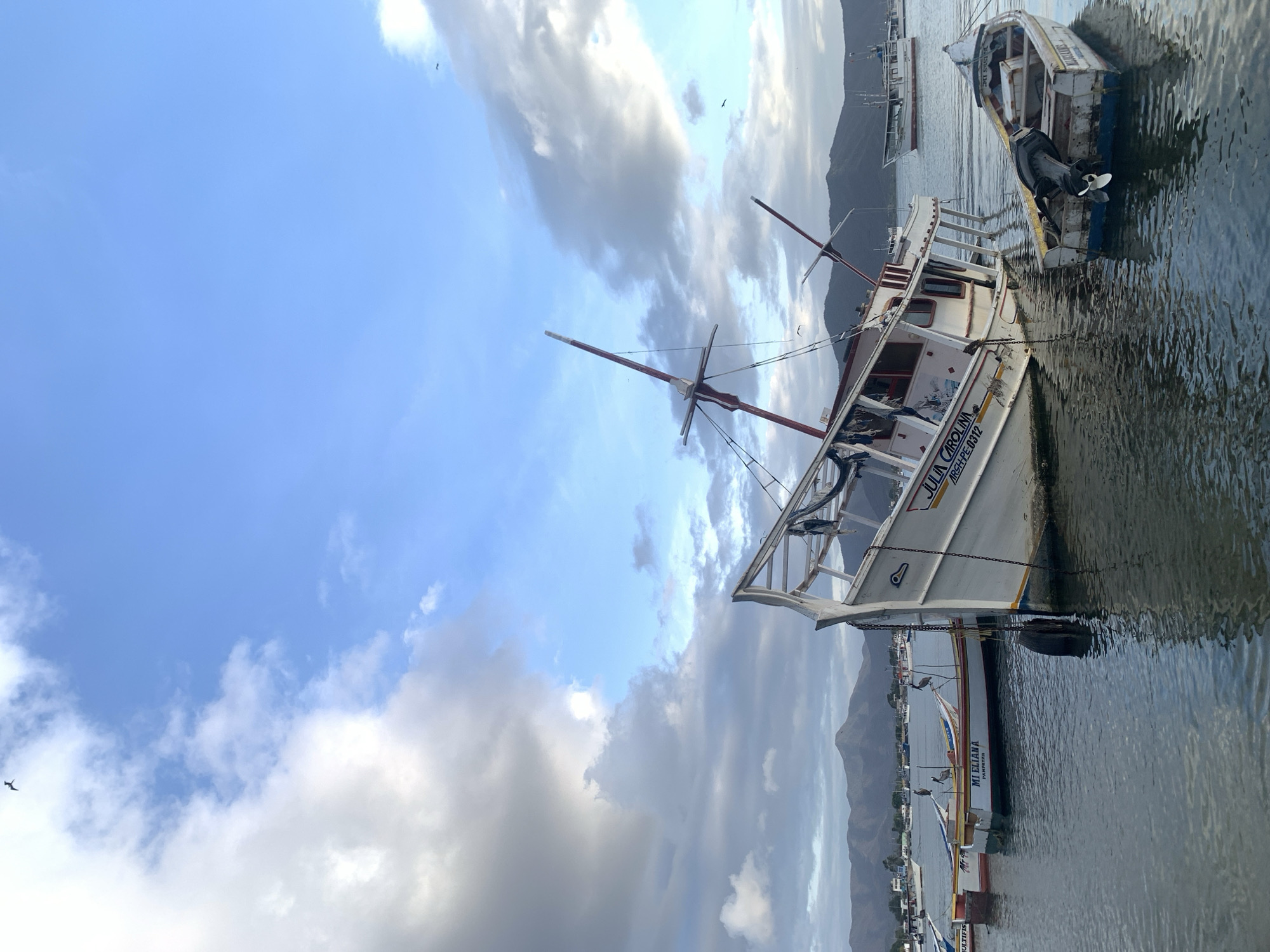 In Juan Griego, Venezuela, several boats are moored in a harbor under a partly cloudy sky. The most prominent vessel is a large, white, two-masted sailing boat that appears to be listing heavily to its port side. Its hull is partially submerged in the calm water, and its sails are furled. The boat is named "JULIA CAROLINA" and has the registration "ARGH-PE-0312" painted on its side. A smaller, weathered wooden boat with an outboard motor is tethered to the listing boat, floating in the foreground. In the background, other boats are anchored, and a mountainous coastline forms the horizon. The water reflects the sky and the boats. No people are visible in the immediate scene. The overall impression is one of a working harbor with vessels at rest.