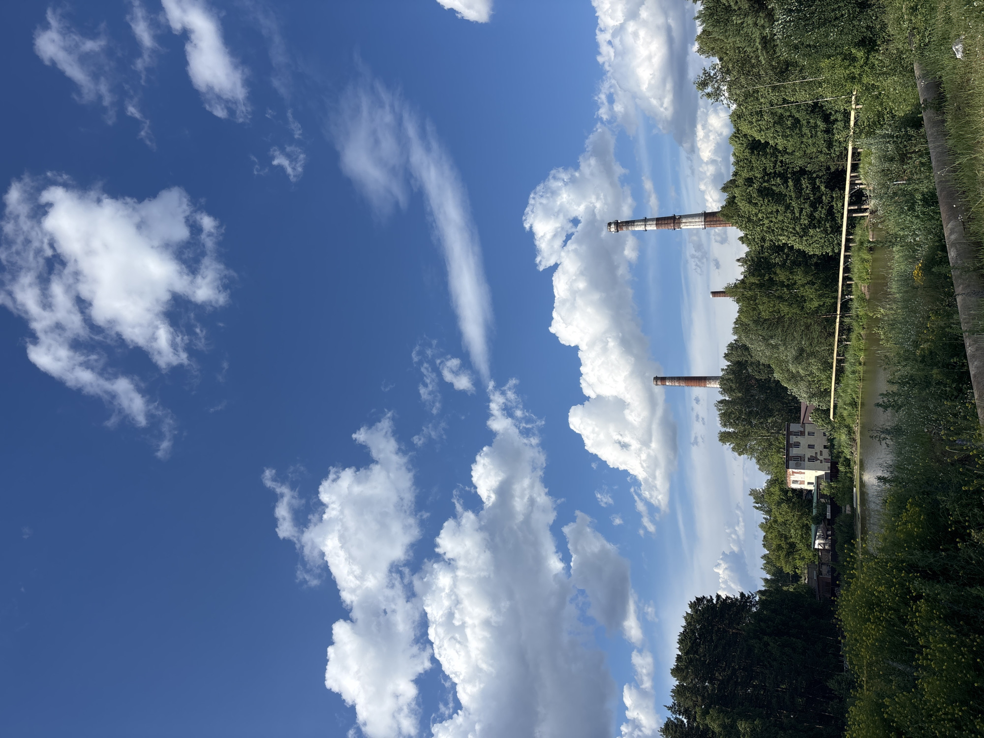 The image shows a view of the Kama River in Chaikovsky, Russia, on a sunny day with scattered clouds. In the foreground, lush green vegetation and flowering plants grow along the riverbank. A body of water, likely a section of the Kama River, is visible in the middle ground, reflecting the blue sky and clouds.
Behind the river, a line of dense green trees forms a backdrop, punctuated by a few industrial structures. Most prominent are two tall, red-and-white striped smokestacks, characteristic of a power plant or industrial facility. A lower building, possibly part of the same complex, is situated among the trees. A yellow pipe, supported by a metal structure, runs horizontally across the scene, suggesting an industrial pipeline. In the far distance, more trees and greenery extend towards the horizon under a vast blue sky filled with white, puffy cumulus clouds. The scene depicts a blend of natural landscape and industrial presence.