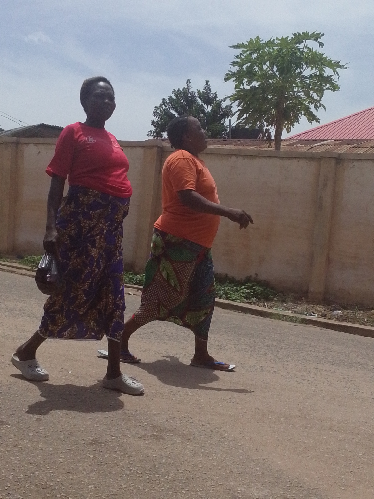 This image captures two women walking outdoors on an asphalt surface under a bright, partly cloudy sky, likely in an urban or semi-urban area in Jos, Nigeria.
The woman on the left wears a red short-sleeved t-shirt with a white, unreadable logo on the chest, a long purple wrap skirt with a golden patterned design, and white closed-toe clogs. She carries a small black bag in her left hand. Her hair is short and dark, and she looks towards the left with a neutral expression.
The woman on the right, positioned slightly behind the first, wears an orange short-sleeved t-shirt and a multi-colored wrap skirt with green, brown, and white patterns. She is wearing flip-flops. Her hair is also short and dark, and she looks straight ahead as she walks.
In the background, a light-colored concrete wall stretches horizontally. Behind the wall, green foliage is visible, including a prominent tree with large leaves, possibly a papaya tree, in the mid-ground. Part of a building with a reddish tin roof can be seen in the upper right. The bright sunlight casts distinct shadows of the women on the ground, indicating it is daytime, likely late morning or early afternoon. The overall scene depicts casual movement in a warm, sunny environment.