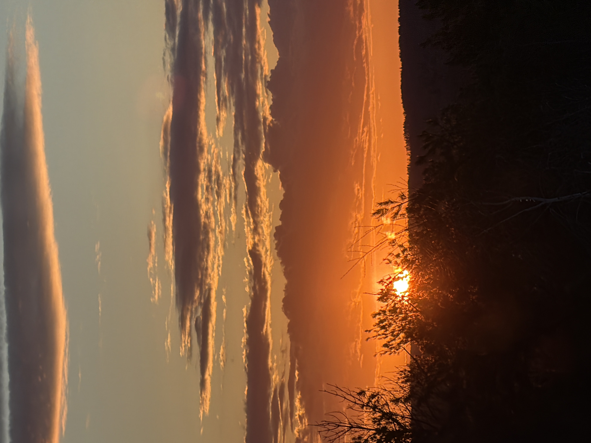 This image, when viewed horizontally, captures a vibrant sunset or sunrise over a natural landscape in Chaikovsky, Russia. The dominant hues are a rich orange and red, radiating from the low-hanging sun on the right side of the frame.
The sun itself is partially obscured by the dark, silhouetted branches and foliage of foreground trees and bushes, creating a strong burst of light that scatters through the leaves. Behind these foreground elements, a dark, forested hillside forms a distinct horizon line, sharply contrasting with the brilliant sky.
Above the distant hills, the sky is a gradient of warm colors, transitioning from bright orange and yellow near the sun to softer, muted tones further away. Streaky, elongated clouds stretch across the sky, some catching the direct golden light from the sun, illuminating their undersides and edges, while others appear as darker forms against the lighter sky. The overall impression is one of a serene and dramatic natural phenomenon at either dusk or dawn. There are no people or discernible activities taking place, and no visible text.