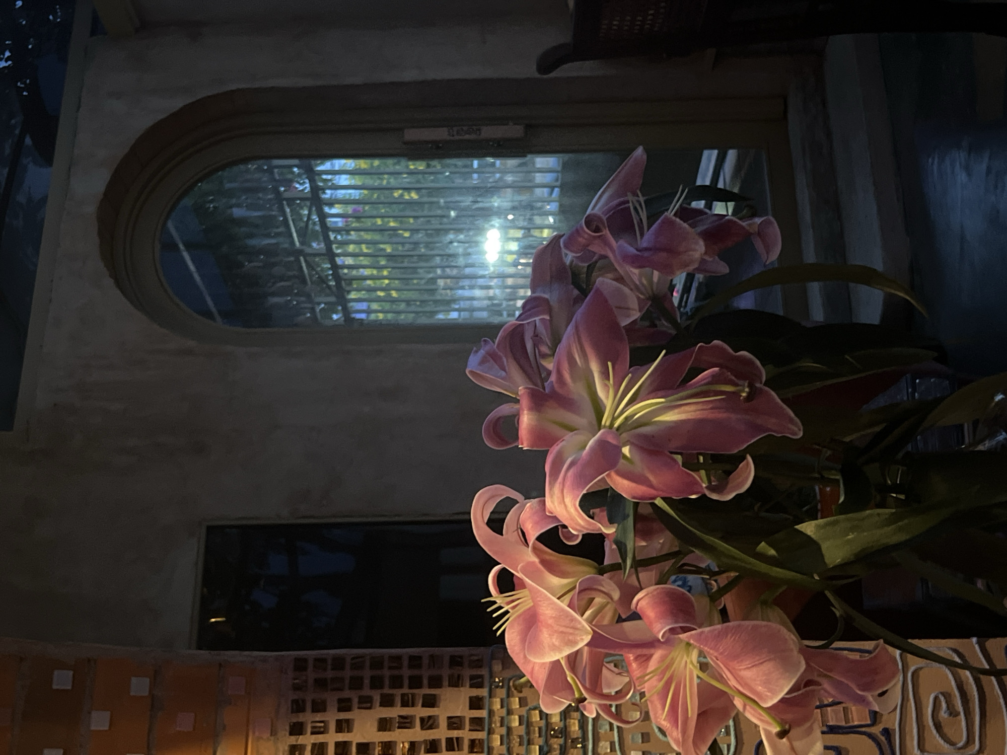 This image depicts a close-up view of several pink lilies with their delicate petals unfurled. The flowers are the primary subject, set against a muted background that hints at an indoor or sheltered outdoor setting. To the left, there is a wall with a distinctive oval-shaped window, framed by a rustic, textured material. Below this, a smaller rectangular window is visible, partially obscured by darkness. The overall lighting suggests it is either dusk or nighttime, with a soft glow emanating from within the building, visible through the windows.
In the background, through the oval window, horizontal blinds are discernible, along with the reflection of some light, possibly a lamp or streetlights. The smaller window reflects a darker scene, possibly trees or foliage. The lower portion of the image reveals a decorative wall or fence made of square tiles and a patterned grill-like structure. The lilies themselves are the focal point, their vibrant pink and yellow hues standing out against the subdued surroundings. The mood is tranquil and somewhat mysterious due to the low light conditions. There is no visible text in the image. The location context of Mũi Né, Vietnam, might suggest a tropical setting, though this is not explicitly evident from the visual elements alone beyond the presence of lilies, which can thrive in such climates.