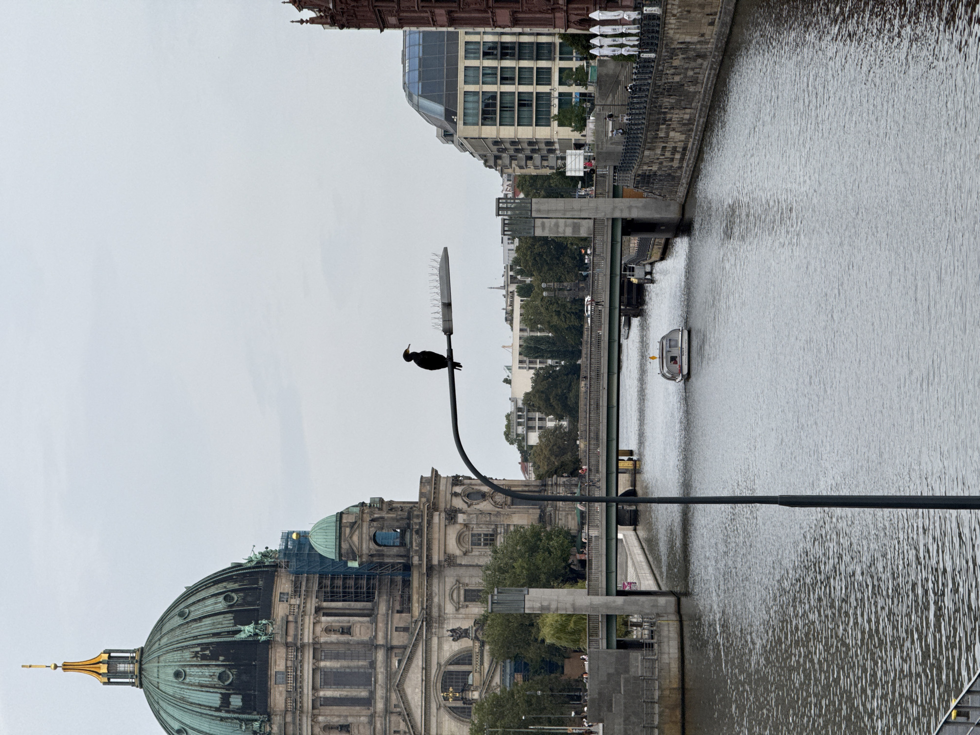 This is a vertical, eye-level, medium shot photograph of the Spree River in Berlin, Germany, on an overcast day. In the foreground, a dark lamppost rises from the bottom of the frame, supporting a single black bird, possibly a cormorant, perched on a lamp. The bird is facing left, with its beak slightly open. The lamppost extends horizontally to the right, with bird deterrent spikes visible. The river occupies the lower half of the image, with gentle ripples on its surface. A white passenger boat with a yellow roof is moving away from the viewer on the river.
In the background, a large, ornate cathedral, identifiable as the Berlin Cathedral, dominates the left side of the image. Its green dome, adorned with gold accents, is partially covered by scaffolding. Adjacent to the cathedral are trees and a stone bridge spanning the river. To the right of the bridge, modern buildings with glass facades stand. Further to the right, a red brick building with decorative architectural elements can be seen. People are visible walking on the bridges and riverbanks, and several other smaller buildings are scattered throughout the background. The sky is a uniform, pale gray, indicating a cloudy day.