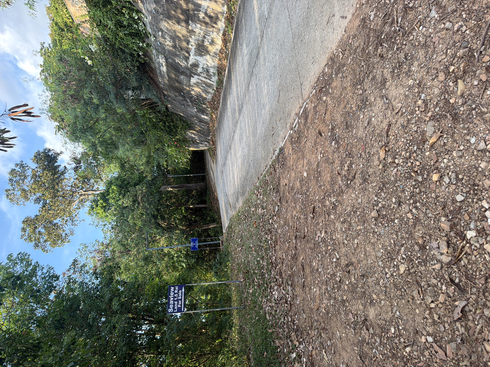 The image depicts a rural road curving to the right, flanked by lush green foliage and trees. On the left side of the road, a signpost displays "Seaview Land 1.5 Rai For Sale" with an arrow pointing to the right. Further down the road on the left, a smaller blue sign is visible. The road itself is paved with concrete and appears to be in fair condition, with some debris and fallen leaves scattered along its edges. A rough, stony embankment with a concrete wall runs along the right side of the road, covered in vegetation. The sky above is a clear blue with scattered white clouds, and the sunlight suggests it is daytime. There are no people or animals visible in the frame. The scene is set in a natural, undeveloped area, consistent with the outskirts of Baan Thong Po, Thailand.