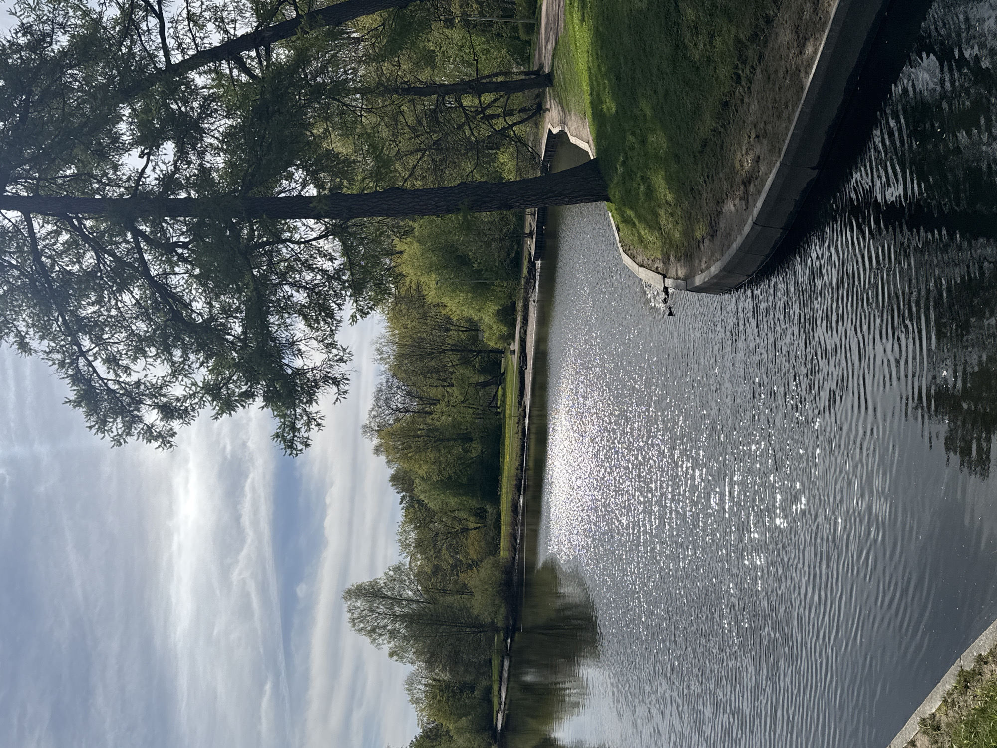 The image depicts a canal in Saint Petersburg, Russia, adjacent to a grassy embankment. A tree trunk leans over the water from the embankment, with its branches extending to the top left corner of the frame. The water reflects the sky, trees, and sunlight, creating a shimmering effect. The opposite bank of the canal is lined with trees. The sky is visible to the left, featuring clouds.