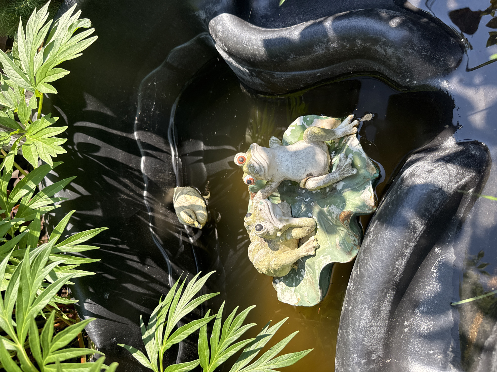 This is a close-up, high-angle shot of a small, decorative garden pond, possibly in Votkinsk, Russia. The pond is filled with murky water and features black, molded edges. In the center of the pond, on a green, lily-pad-like decoration, are two ceramic frog figurines. The frog on the left is light green, with its head tilted slightly back and its eyes closed. The frog on the right is also light green, with its mouth open and its wide, red eyes looking towards the viewer. In the background, further back in the pond, a small ceramic duck figurine is partially submerged. Lush green leaves from a nearby plant cast shadows across the surface of the water and the pond's edge. The overall impression is a whimsical, garden decoration scene.
