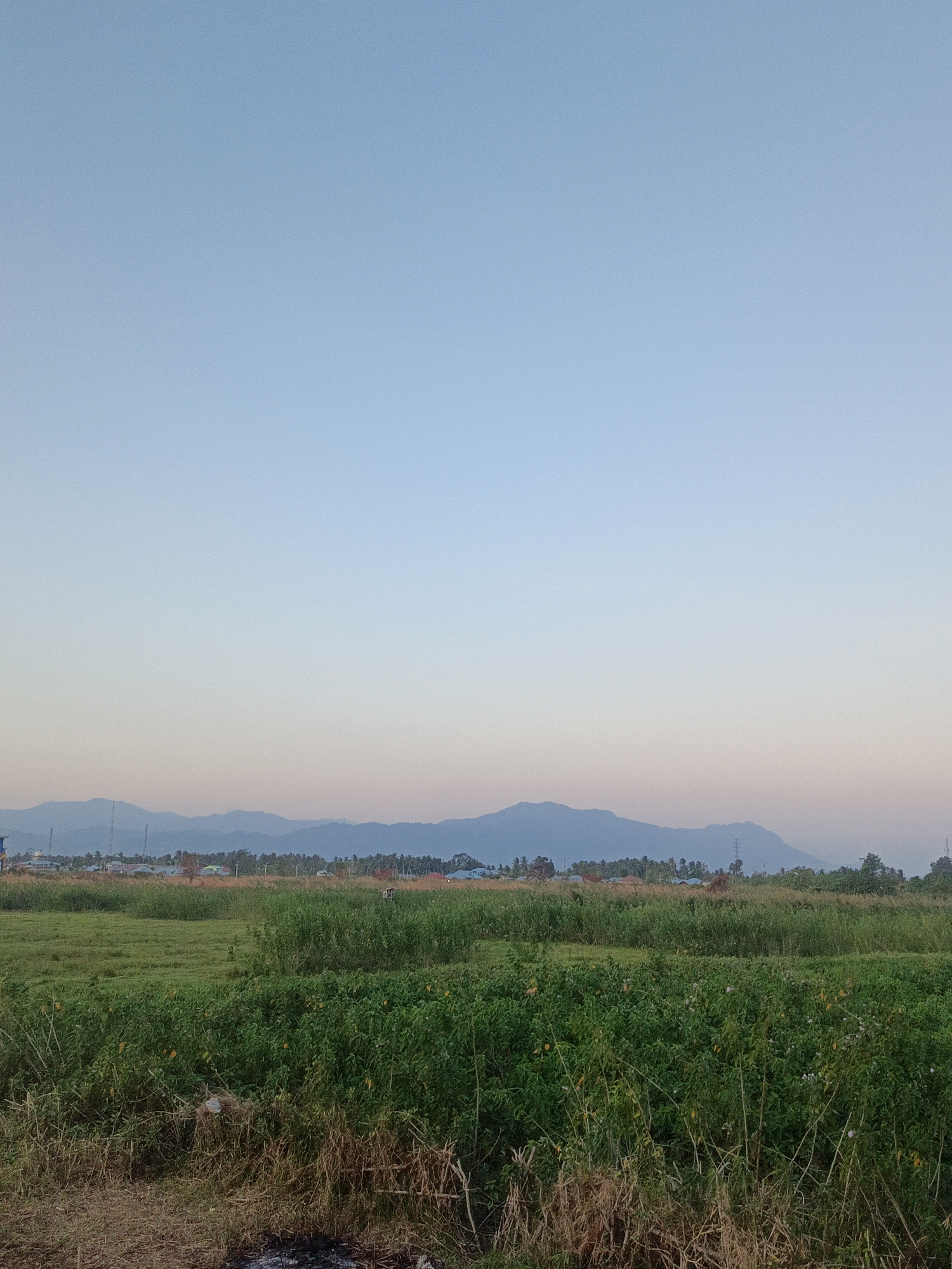 This is a photograph of a rural landscape with mountains in the distance. The sky is a gradient of soft blue and pink hues, suggesting either dawn or dusk. In the foreground, a field of green grass and vegetation stretches across the frame, with some dry, brown grass and twigs at the very bottom. A few small yellow flowers are visible amidst the green plants. In the mid-ground, there is more greenery, with some scattered buildings and trees visible, indicating a small settlement. The background features a range of blue-toned mountains that appear to be covered in vegetation. The overall impression is one of tranquility and natural beauty, likely depicting an area outside the main urban center of Gorontalo, Indonesia.