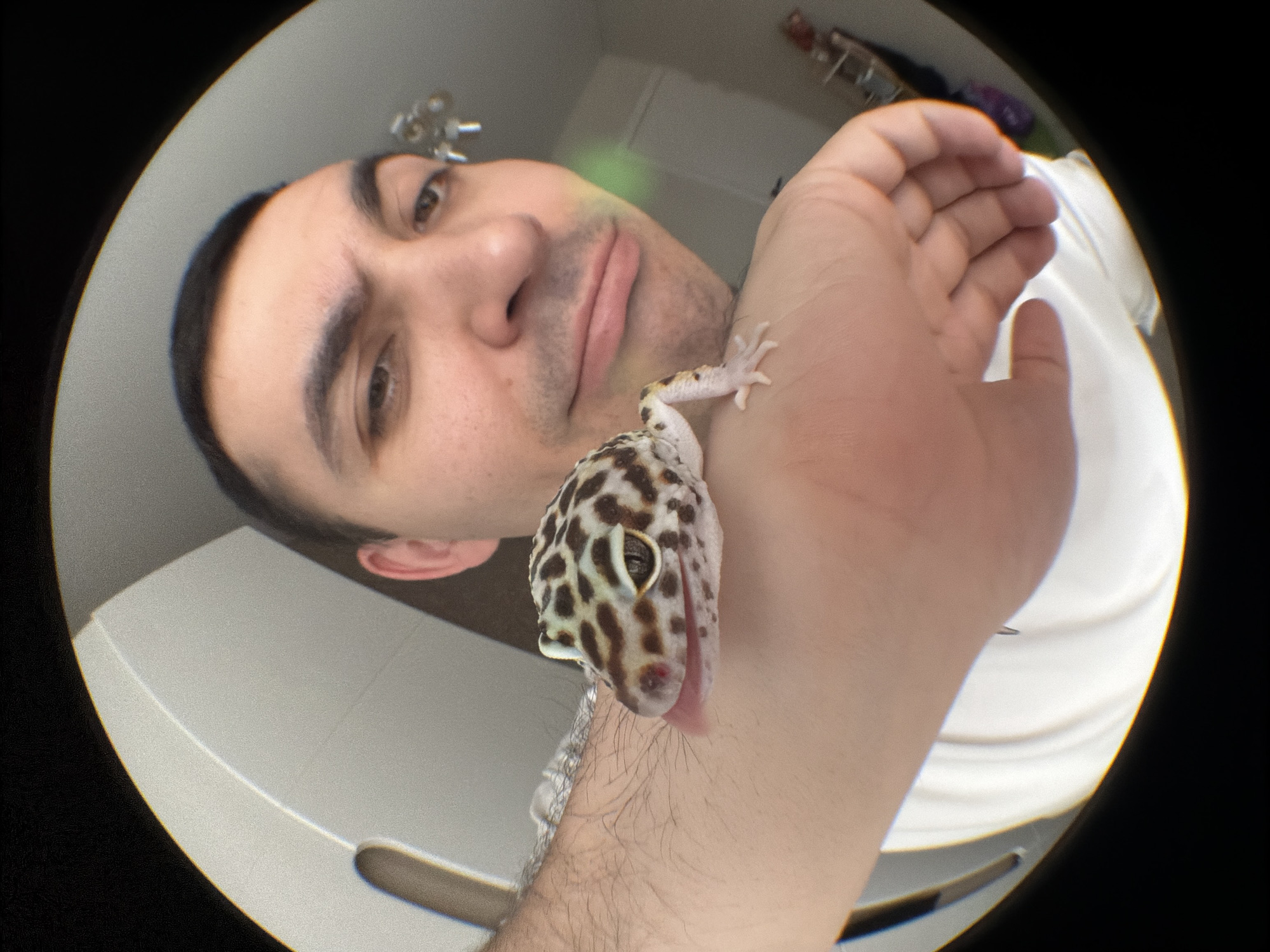 A selfie-style, fisheye-lens photograph shows a man holding a leopard gecko on his forearm. The man is fair-skinned, with dark hair and eyebrows. He is looking down toward the gecko. The gecko is tan with brown spots, and it is licking its nose with a pink tongue. The man is wearing a white t-shirt. The background includes a white wall, some objects on a shelf, and a gray surface. There is no evidence indicating the location of Izhevsk, Russia.