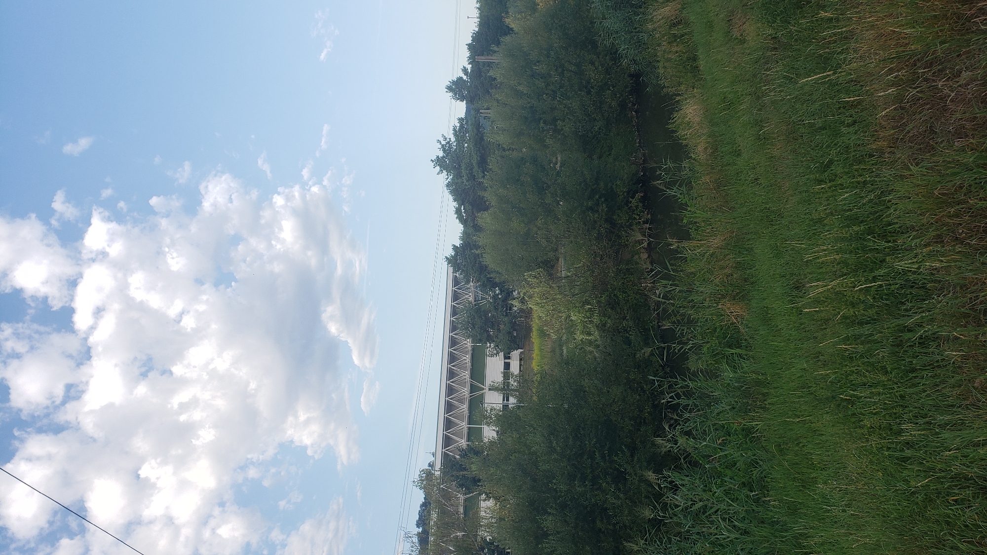This is a vertical, eye-level, medium shot of a building in Prešov, Slovakia. The building has a white exterior with a green lower section. Its most prominent feature is a large, triangular, white-latticed structure that extends across the top of the building. This structure is supported by a series of white vertical pillars. In front of the building is a dense line of lush green trees and shrubs. Beyond these trees, a dark, still body of water is visible. The foreground is filled with tall, green grass, some of which appears dry and yellowed. The sky above is a clear blue, with a few scattered white clouds, some of which are quite large and fluffy. A thin, dark power line stretches diagonally across the upper left portion of the sky. There are no people or animals visible in the image.