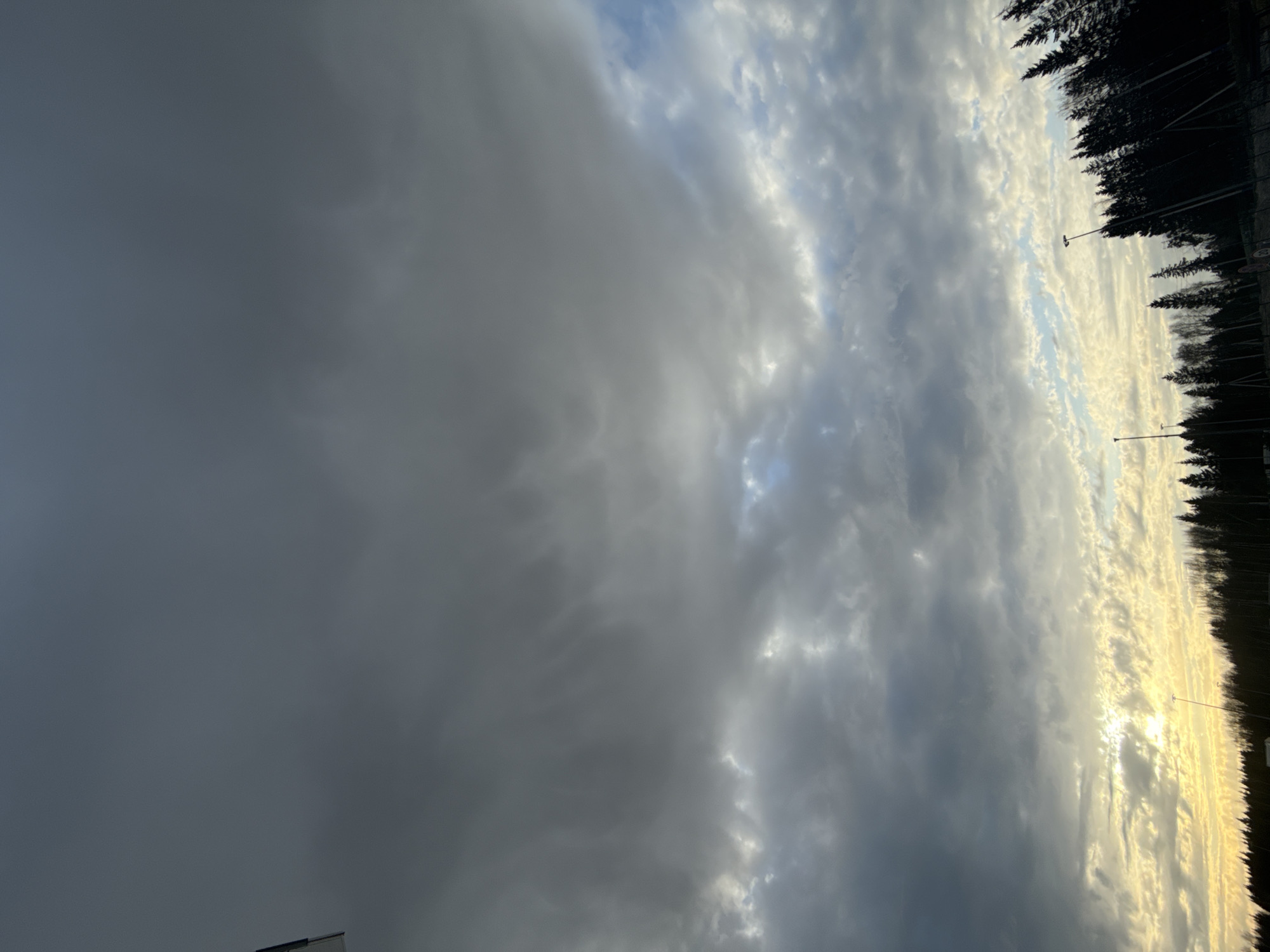 The image shows a sky with dense cloud cover. To the right of the sky is a line of tall, dark trees. There are at least two street lights visible amongst the trees. Without further context, it is impossible to confirm the location or any specific details beyond the described sky and trees.