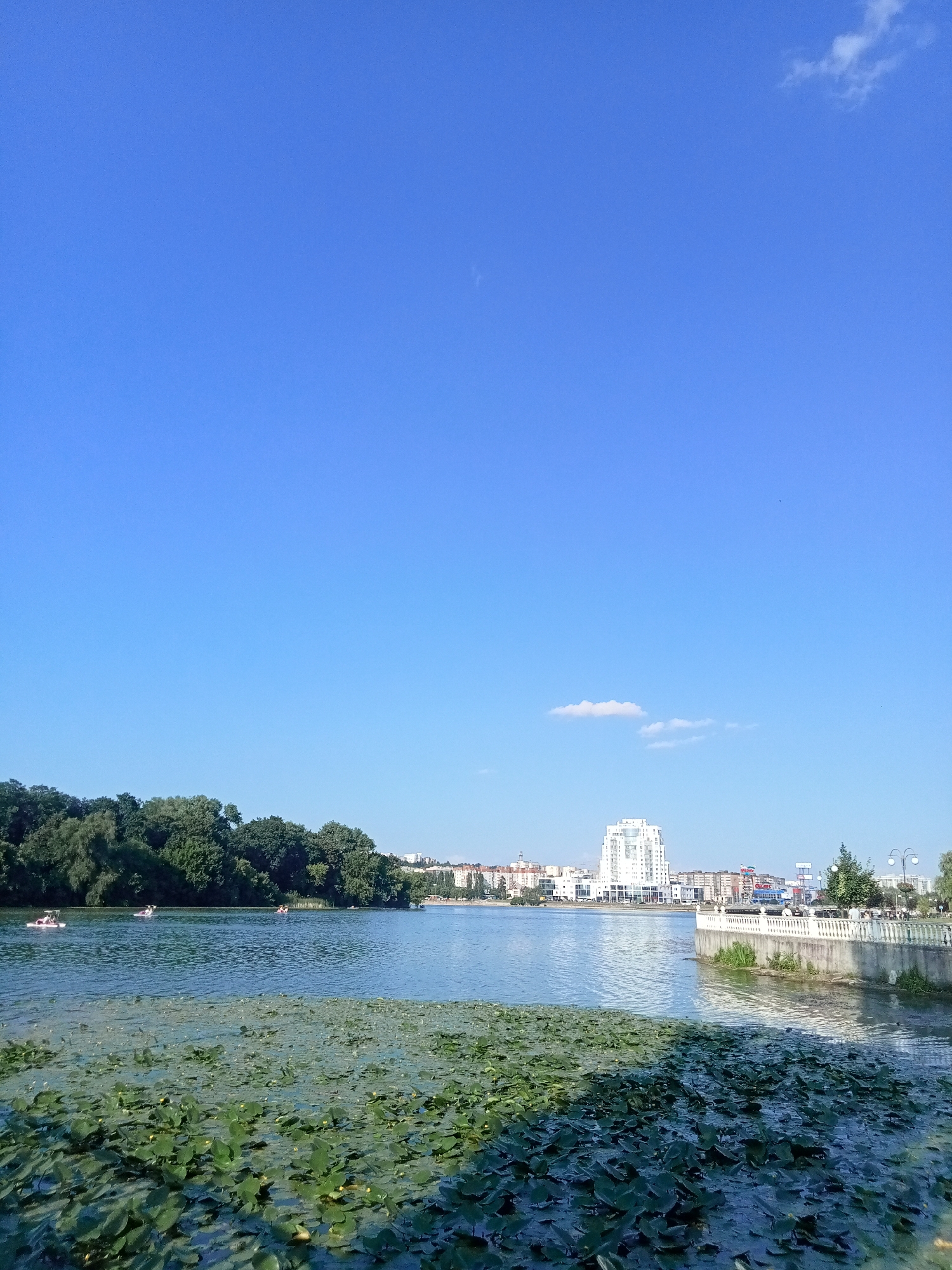 The image depicts a wide, calm lake with a dense cover of lily pads in the foreground. Several paddle boats are visible on the water in the middle ground. Beyond the lake, a lush green treeline separates the water from a city skyline characterized by modern buildings, including a prominent white high-rise. A stone promenade with a decorative railing runs along the right bank of the lake, with trees and lampposts lining the edge. The sky is a clear, bright blue with a few wispy clouds. The scene conveys a peaceful, daytime atmosphere in an urban park setting.