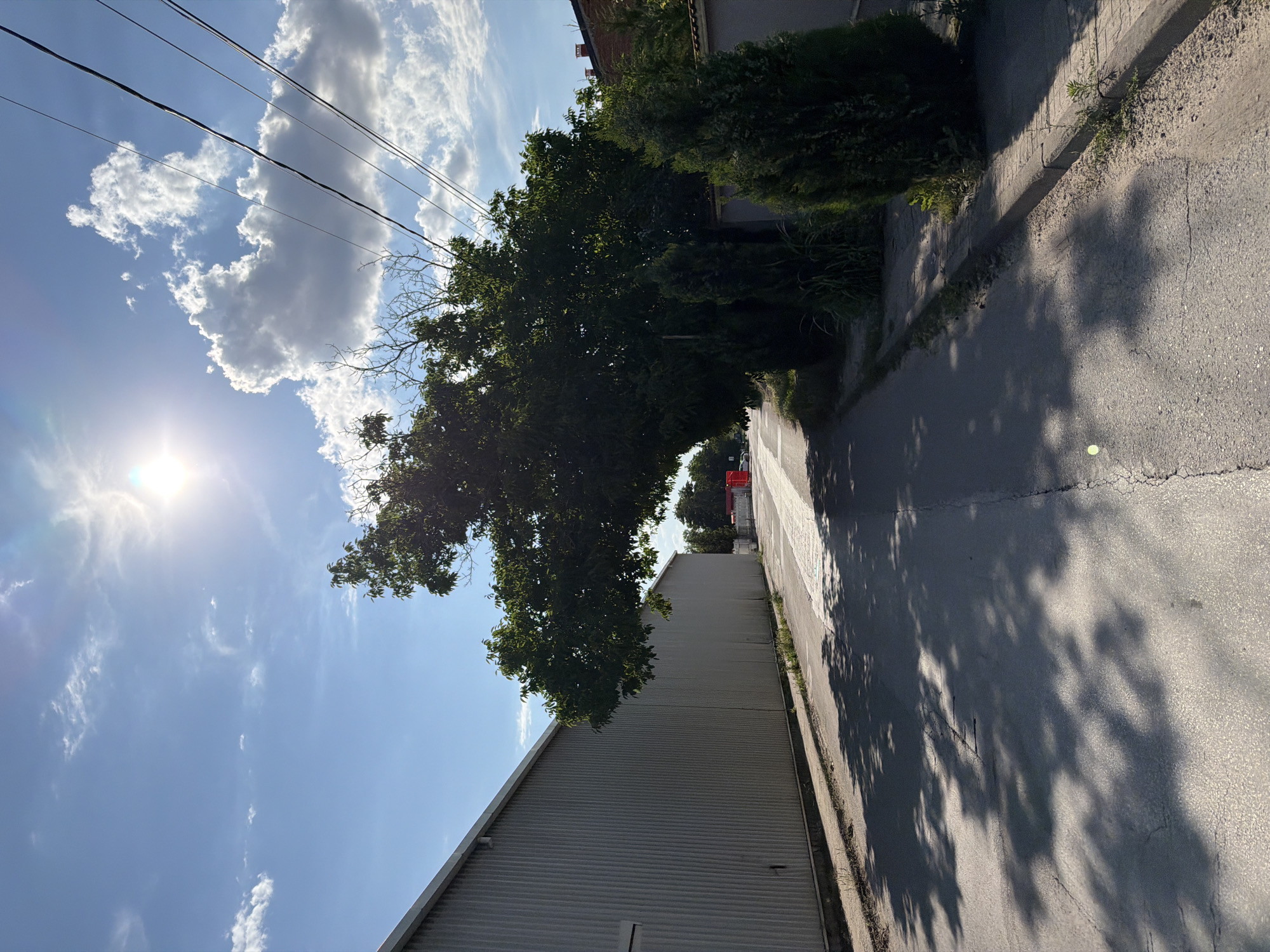 The image depicts an outdoor scene on a sunny day in Plovdiv, Bulgaria. A paved road runs through the scene, bordered by a corrugated metal building on the left and a fence with some greenery on the right. A large tree with dark green foliage extends over the road from the right side. Power lines are visible in the sky, which is blue with scattered white clouds. The sun is shining brightly, casting shadows from the tree onto the road. In the distance, a red structure is visible. The overall impression is of an industrial or commercial area with some natural elements.