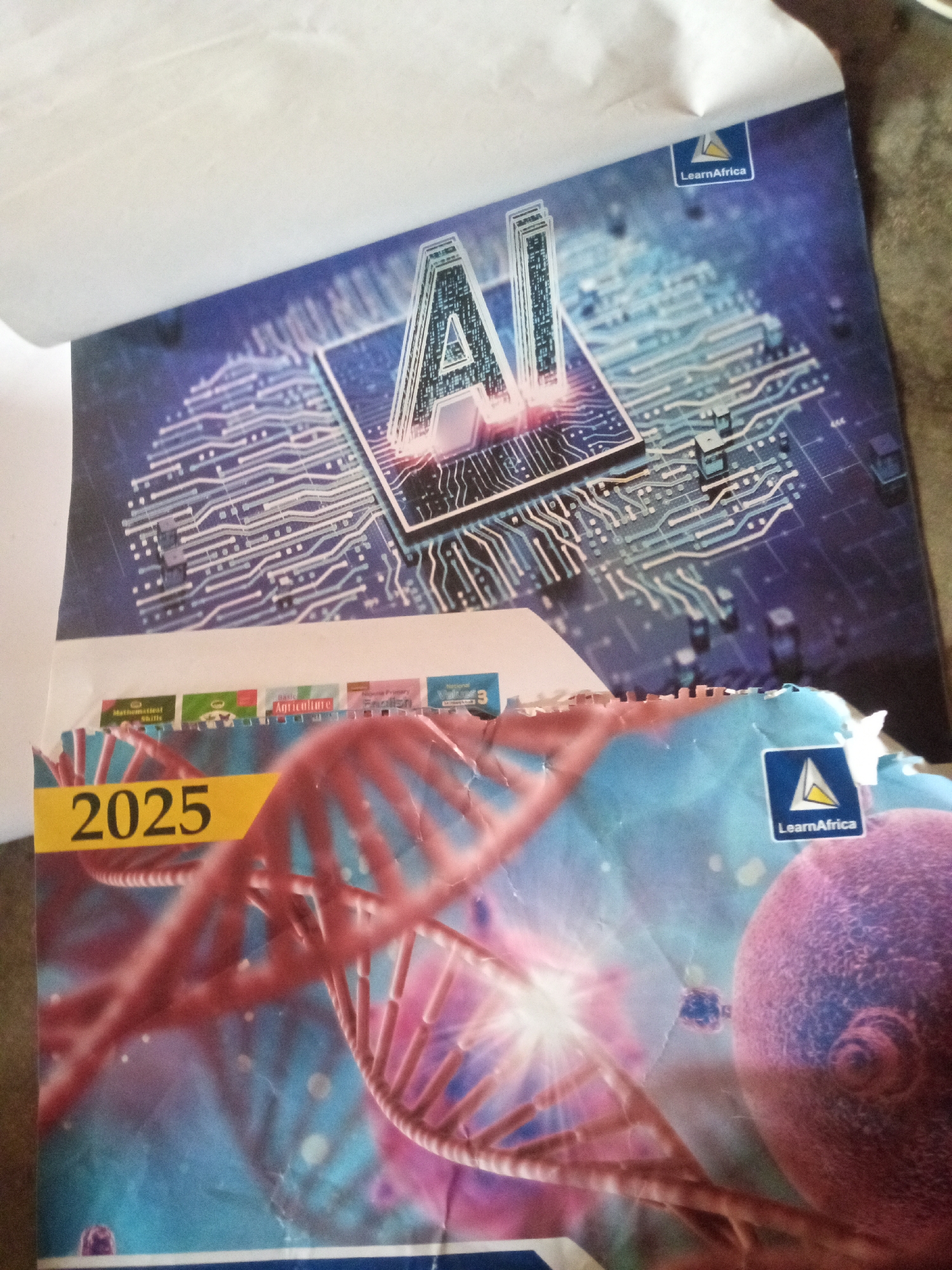 The image shows the covers of two notebooks. The top notebook has a blue background with a circuit board design and the word "AI" in large, stylized letters. A "LearnAfrica" logo is visible in the top right corner. The bottom notebook has a colorful background depicting a DNA helix and cells. A yellow band across the bottom of this notebook reads "2025." A "LearnAfrica" logo is also present on this notebook, in the top right corner. The image was taken in Jalingo, Nigeria.