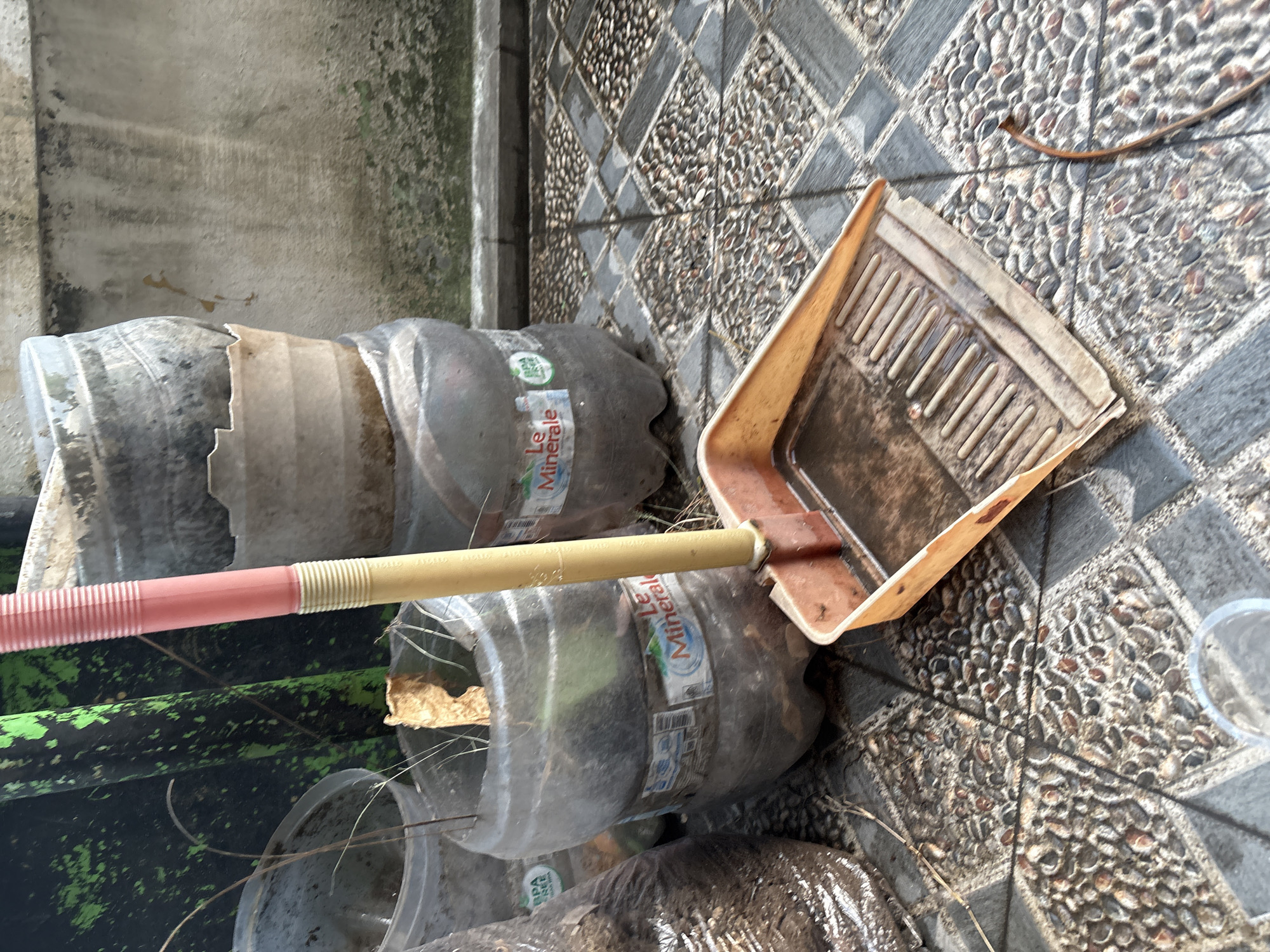 The image depicts a close-up, eye-level outdoor scene on a tiled patio, likely in Palimanan, Indonesia. In the foreground, a dirty, light-orange dustpan rests on the patterned tiles. The dustpan is angled, revealing its ribbed interior. A broom with a pink and yellow handle is partially visible, extending from behind the dustpan and leaning against some plastic containers.
Behind the dustpan and broom, several large, clear plastic bottles, some stacked on top of each other, are visible. These bottles appear to be repurposed as containers, possibly for plants or gardening materials, as dry plant matter is visible within some of them. The bottles have labels, one clearly showing "Le Minerale." To the left, a dark, textured object, possibly a bag or another container, is also present.
The background shows a textured, weathered wall and a dark, vertical surface with green splotches, which could be a painted fence or structure. The overall impression is one of a utilitarian outdoor space, possibly a backyard or a work area, with repurposed materials. The lighting suggests it is daytime, with shadows cast on the tiled ground.