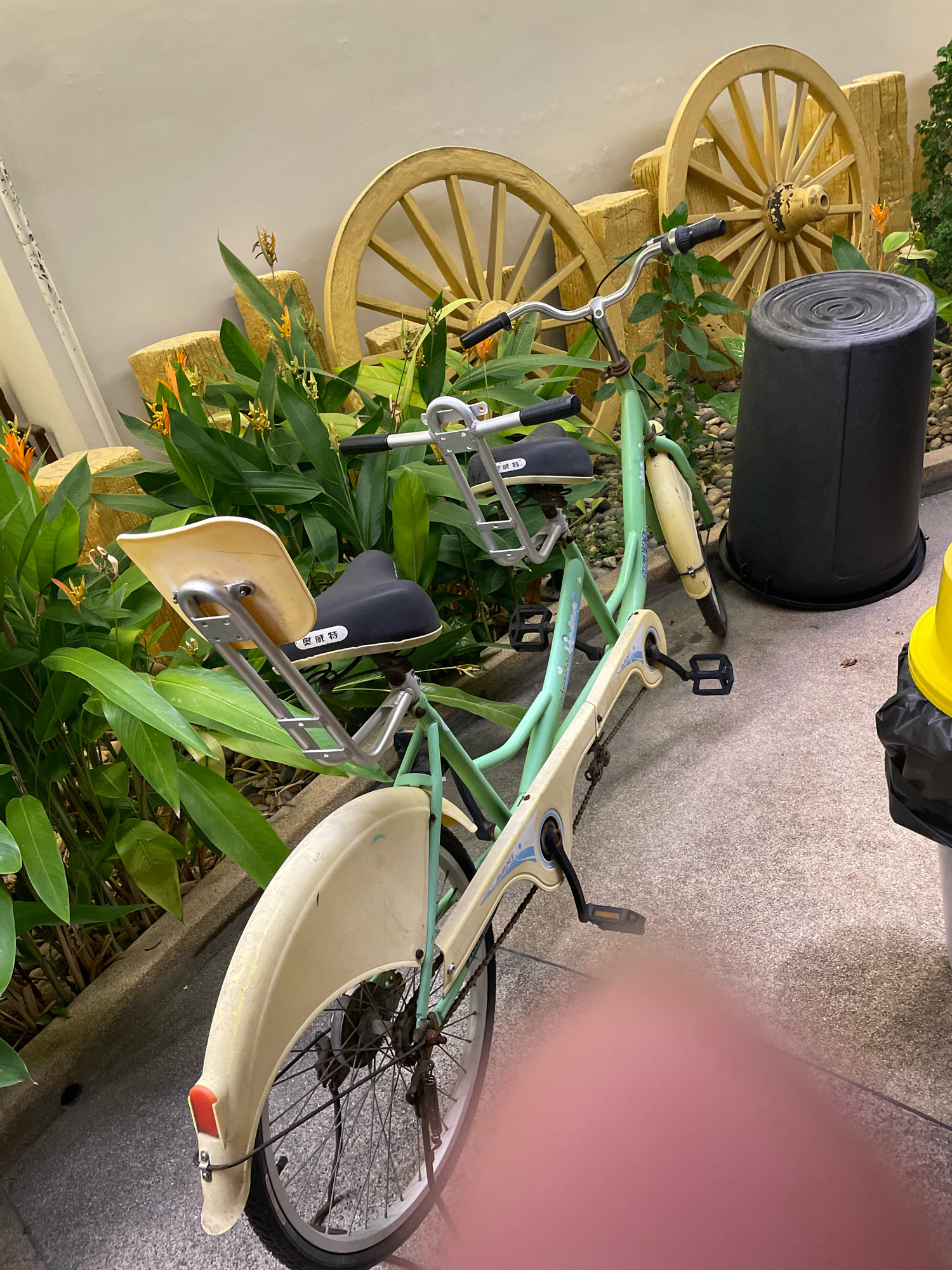 In Pattaya City, Thailand, a tandem bicycle with a light green frame and beige accents is parked on a paved surface, partially obscured by lush green foliage and vibrant orange flowers. The bicycle features two black seats with white lettering and a small, cream-colored seat for a child at the rear. The front of the bicycle has a silver handlebar. Behind the bicycle, two large, wooden wagon wheels are propped against a neutral-colored wall. To the right of the bicycle, a tall, black cylindrical trash bin stands next to a yellow object, possibly a traffic cone or bucket, and a black trash bag. The scene appears to be an outdoor setting, possibly a public area or a decorative display.
