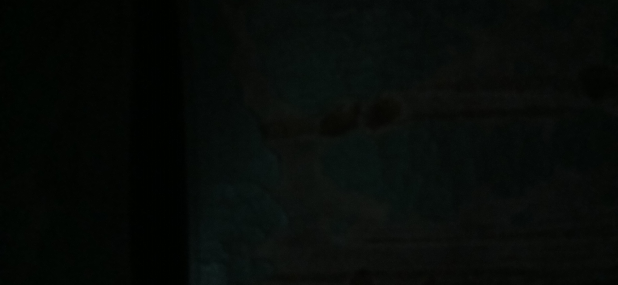 The image depicts a dark, textured surface that appears to be a wall or a rough concrete structure. The surface is predominantly black with some areas of muted, greenish-blue tones, suggesting it might be damp or stained. There are irregular, lighter patches and smudges visible, possibly due to dirt, water marks, or deterioration of the material. The lighting is very low, creating deep shadows and obscuring finer details. The image is taken from a close-up perspective, focusing on the textural elements of the surface rather than a wider scene. There are no discernible people, objects, or actions. The context of Kademangan Kulon, Indonesia, cannot be inferred from the visual information provided.