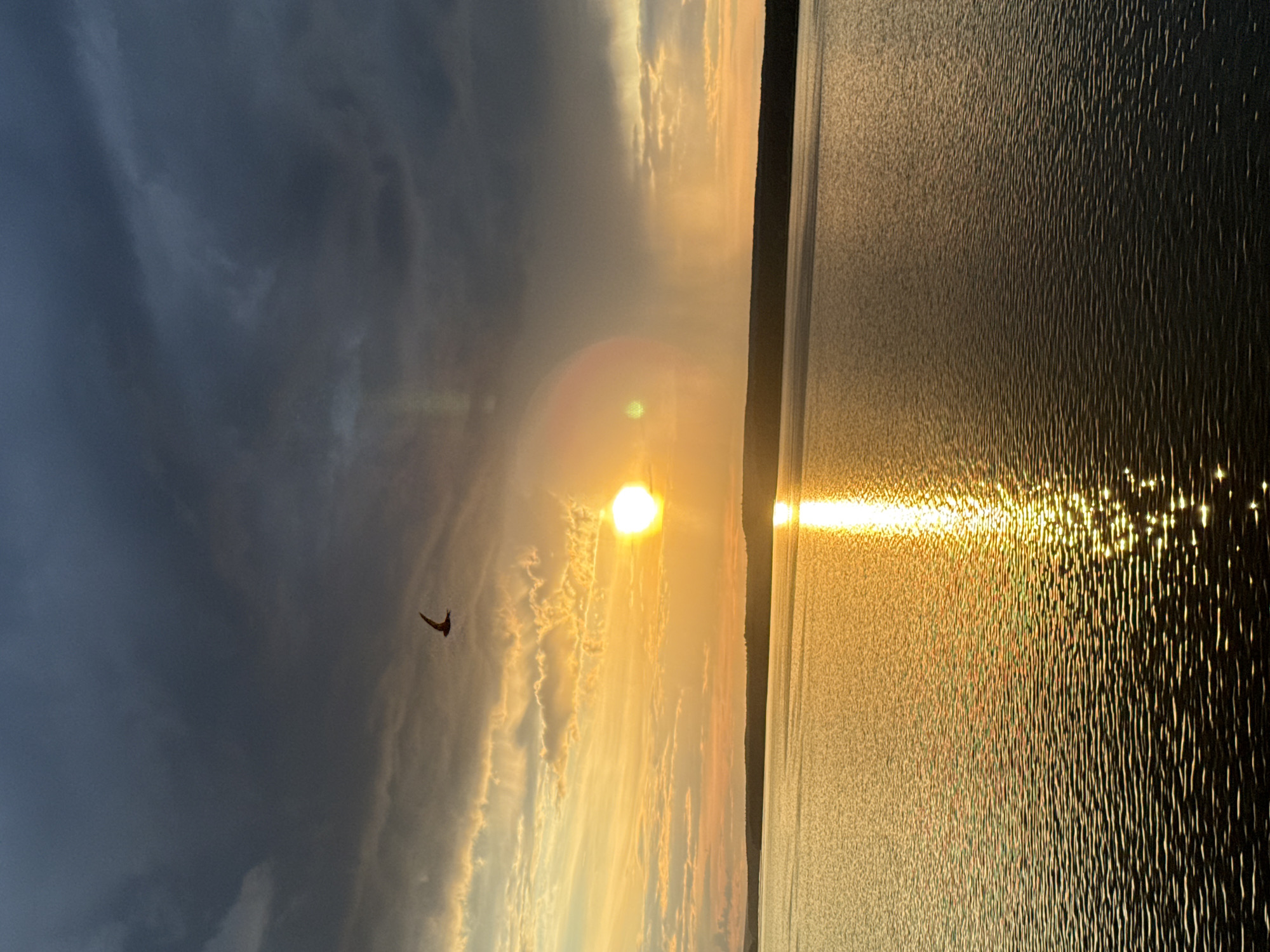The image depicts a scenic sunset over a body of water, likely a lake or a wide river, in Votkinsk, Russia. The sun is low on the horizon, casting a warm, golden light across the sky and reflecting brilliantly on the rippling water's surface. The sky is a dramatic mix of dark, moody clouds on the left, transitioning to lighter, illuminated clouds and the bright glow of the setting sun on the right.
A solitary, small, dark object, possibly a bird or a kite, is captured in mid-flight against the vast expanse of the sky. The water displays a textured, almost metallic appearance due to the sunlight hitting its numerous small waves, creating streaks of light that stretch towards the viewer. A dark silhouette of land, likely the opposite shore, forms a thin line separating the sky and water.
The overall mood is serene and picturesque, evoking a sense of awe at the natural beauty of the sunset. The time of day is clearly evening, as indicated by the low angle of the sun and the characteristic colors of sunset. The weather appears to be dynamic, with both dark clouds and clear, illuminated areas suggesting a mix of atmospheric conditions. No text is visible in the image.