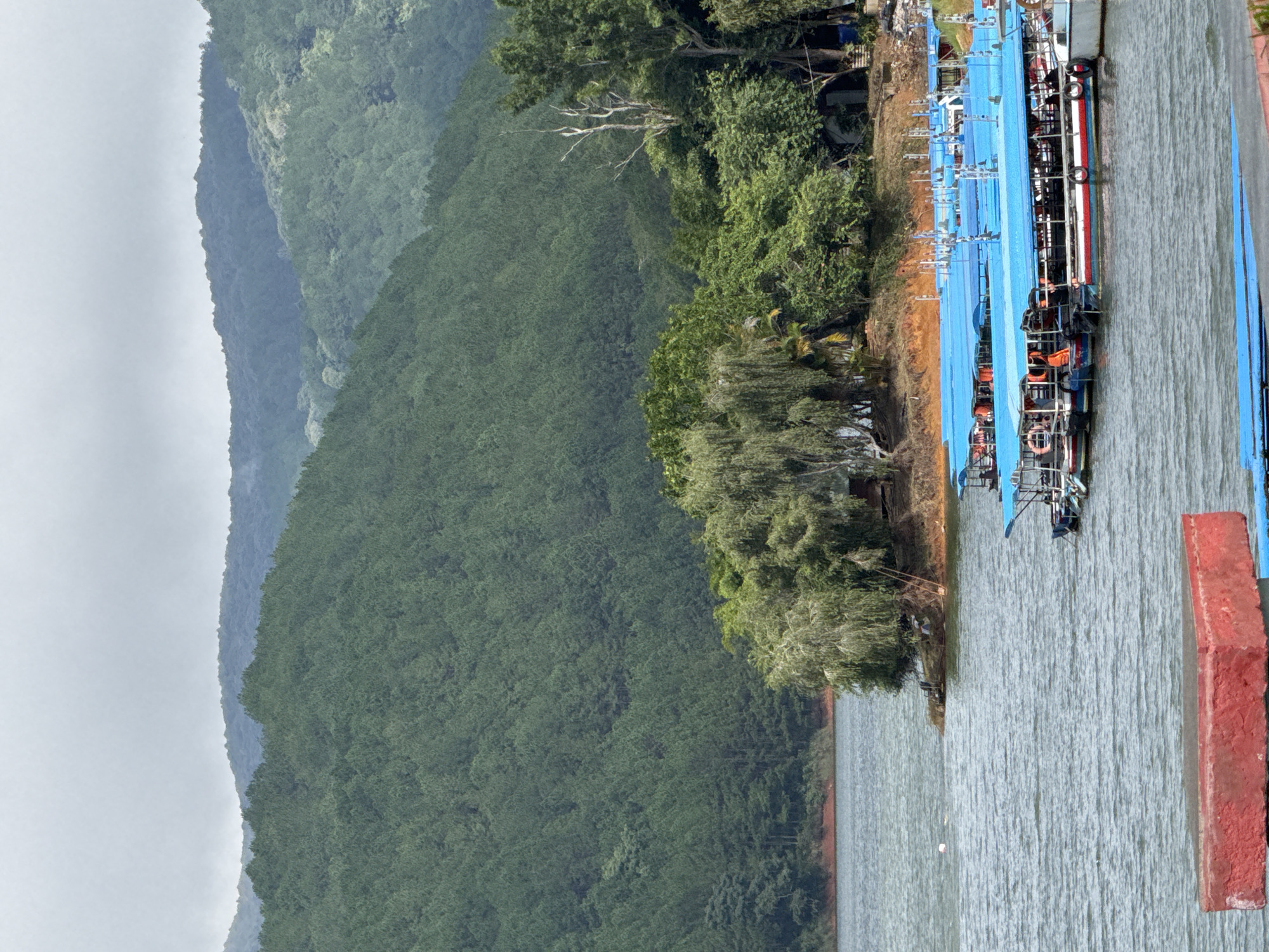 The image depicts a body of water in the city of Da Lat, Vietnam, with numerous tour boats docked along the shore. The boats are predominantly blue and appear to be ready for passengers, with life preservers visible on some. The background features a densely forested hillside, likely part of the mountainous terrain surrounding Da Lat. The sky is overcast, suggesting a potentially humid or rainy day. A red object, possibly a buouy or marker, is in the foreground. The scene conveys a sense of a popular tourist destination, with the boats indicating recreational activities on the water.