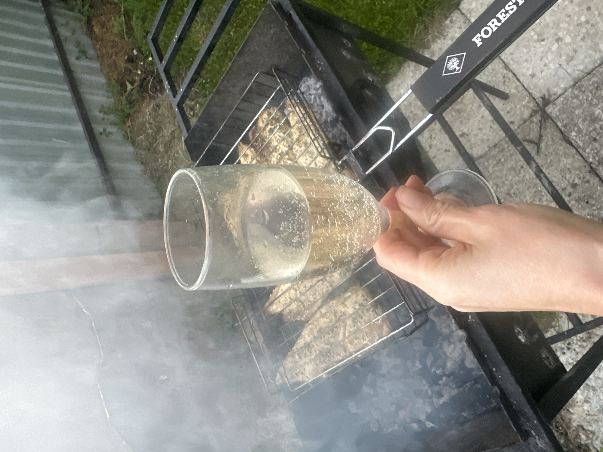 A hand is holding a glass of white wine with bubbles over a grill. The glass is tilted, and some of the wine appears to have spilled onto the grill. The grill contains what looks like fish on a grate, and there is smoke rising from it. The setting appears to be outdoors, with grass and pavement visible. The weather seems to be pleasant, possibly a sunny day, given the lighting. There is a metal fence and a corrugated metal structure in the background, suggesting a backyard or outdoor area. The overall mood is relaxed and summery, with the activity of grilling and enjoying a drink. On the handle of the grill, the word "FOREST" is visible in white text, along with a logo of a tree. The scene is likely taking place in a residential area or a park, given the presence of a grill. The time of day is indeterminate but appears to be daytime.