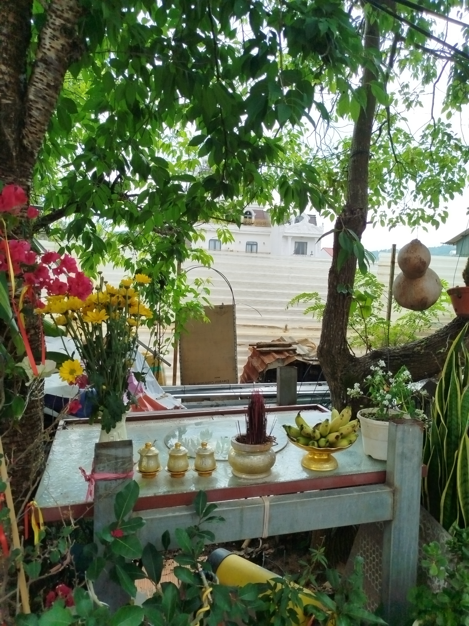This image depicts an outdoor altar in Da Lat, Vietnam. The altar is a simple metal table adorned with religious offerings. There are flowers in a vase, small gold-colored jars, a bowl of incense, and a golden bowl filled with bananas. A gourd hangs from a tree branch behind the altar. In the background, a white building with a stepped facade is visible. The altar is surrounded by lush greenery.