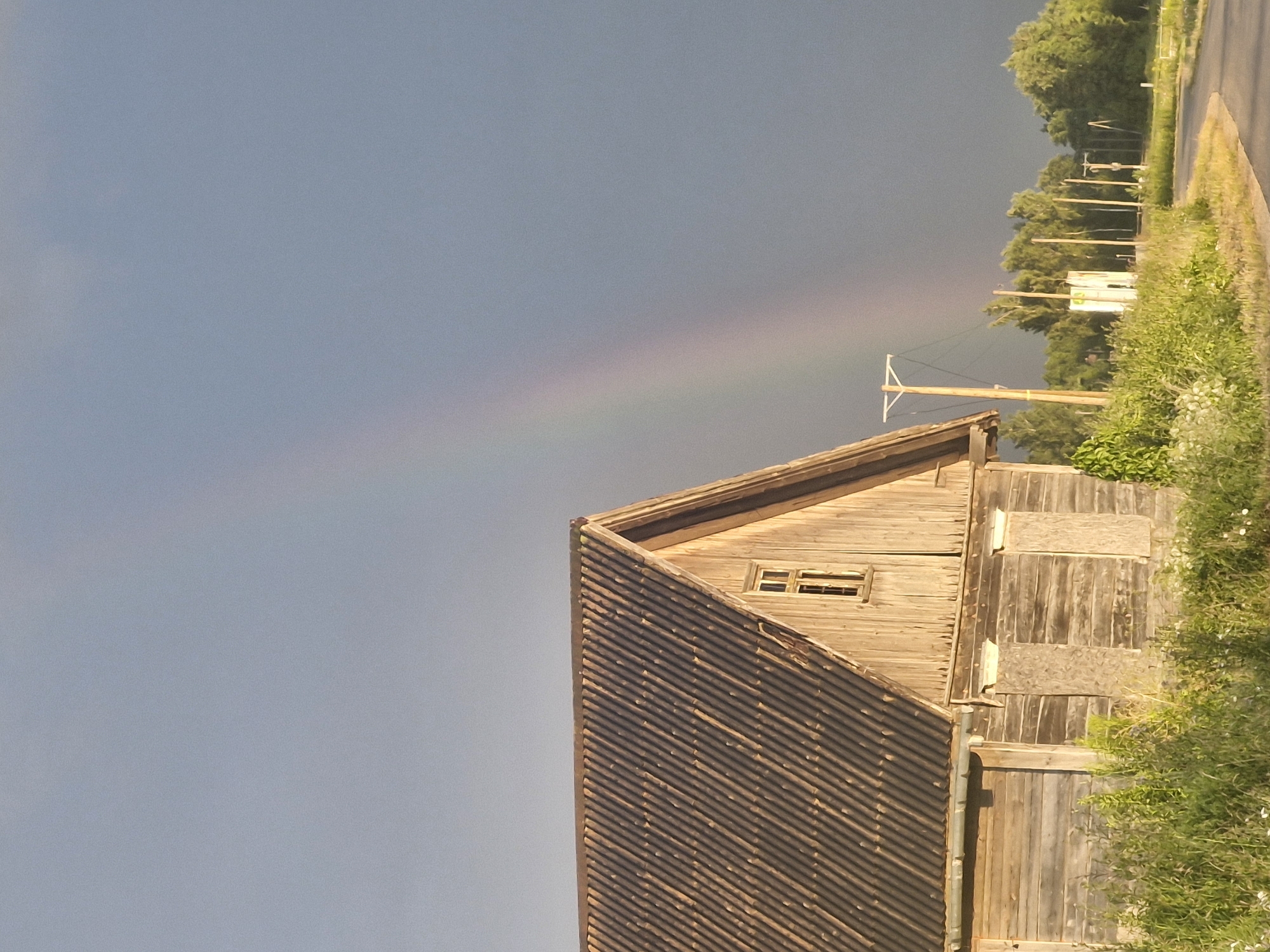 In Saulgoži, Latvia, a weathered wooden barn stands under a dramatic sky. The barn has a corrugated metal roof and wooden plank siding, with two boarded-up window openings on the lower section and a single small window on the upper gable. Tall green grass and some wildflowers grow in front of the barn. To the right, a faint rainbow arcs across the dark, cloudy sky. A simple wooden utility pole with wires is visible near the barn, and beyond that, a line of trees and more utility poles form the horizon. A paved road curves into the distance on the right side of the frame.