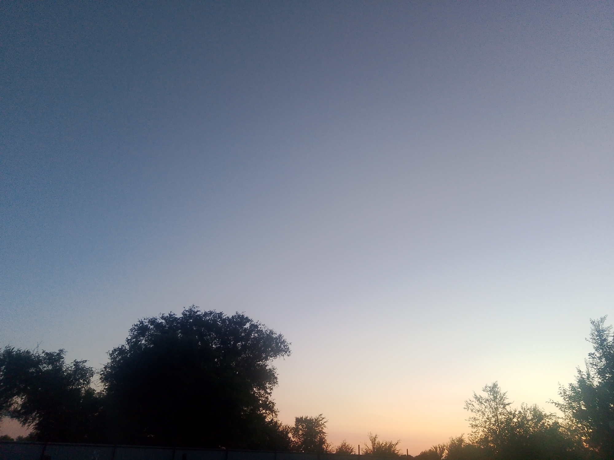 This media file shows a landscape scene during what appears to be either sunrise or sunset. The sky transitions from a deep blue at the top to lighter shades of blue, then to orange and yellow near the horizon. Silhouetted against the sky are the tops of trees. The largest tree is in the lower-left quadrant, appearing full and dark. To its right, smaller trees and foliage are visible, with some branches reaching upwards. In the far right of the image, more trees are silhouetted. A dark horizontal line, possibly a fence or a low structure, runs along the bottom of the frame, partially obscuring the bases of the trees and the ground. The lighting suggests a calm and peaceful atmosphere, characteristic of twilight. There is no visible text or discernible activity. The location is identified as Soviet, Russia.