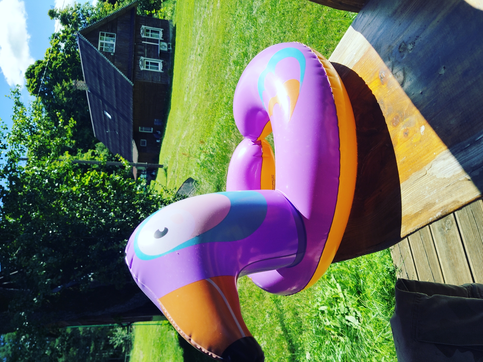 An inflatable purple and orange flamingo-shaped pool float is positioned on a wooden surface, likely a table or deck, in an outdoor setting. The float is the primary subject of the image, with its head and neck prominently featured in the foreground, facing left. The background consists of a lush green lawn, a dark wooden house with a steep roof and white-trimmed windows, and a bright blue sky with scattered white clouds. Dense green trees are visible behind the house and on the left side of the image, casting shadows on the lawn. The lighting suggests it is a sunny day. There are no people or animals present in the scene. The location is identified as Norviliškės, Lithuania.