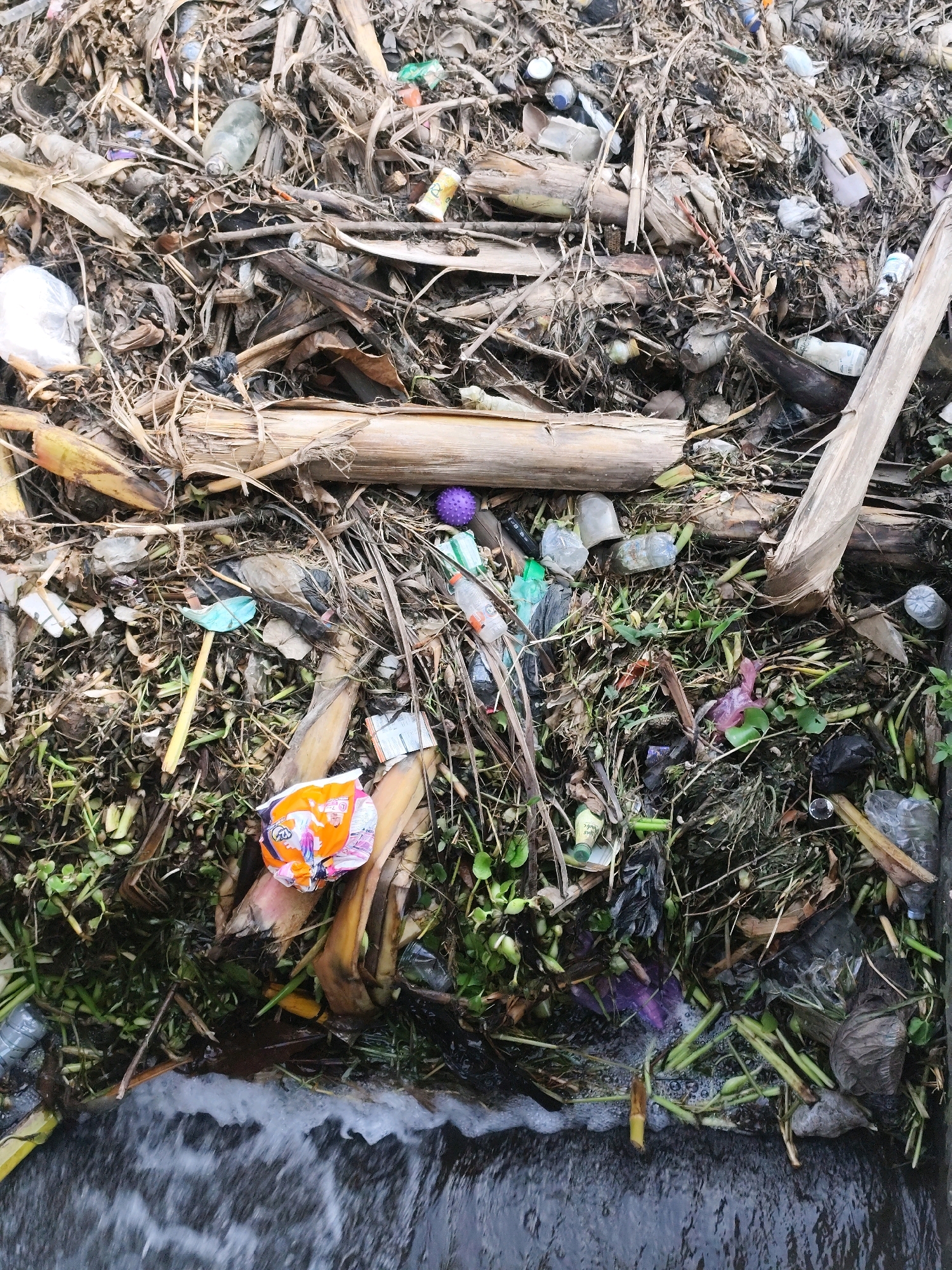 The image displays a close-up, overhead view of a collection of natural debris and a significant amount of plastic waste accumulated on the bank of a waterway in Tirtomulyo, Indonesia. The scene is dominated by dry, brown, plant matter such as leaves, stems, and what appear to be banana tree stalks, interspersed with green aquatic vegetation. Mixed within this natural debris are numerous plastic items, including empty bottles of various sizes and colors, plastic bags, and fragments of packaging. Some plastic bottles are partially submerged in the water at the bottom of the frame, which shows a frothy, flowing surface. The overall impression is one of environmental pollution and neglect. There are no people or animals visible in the image.