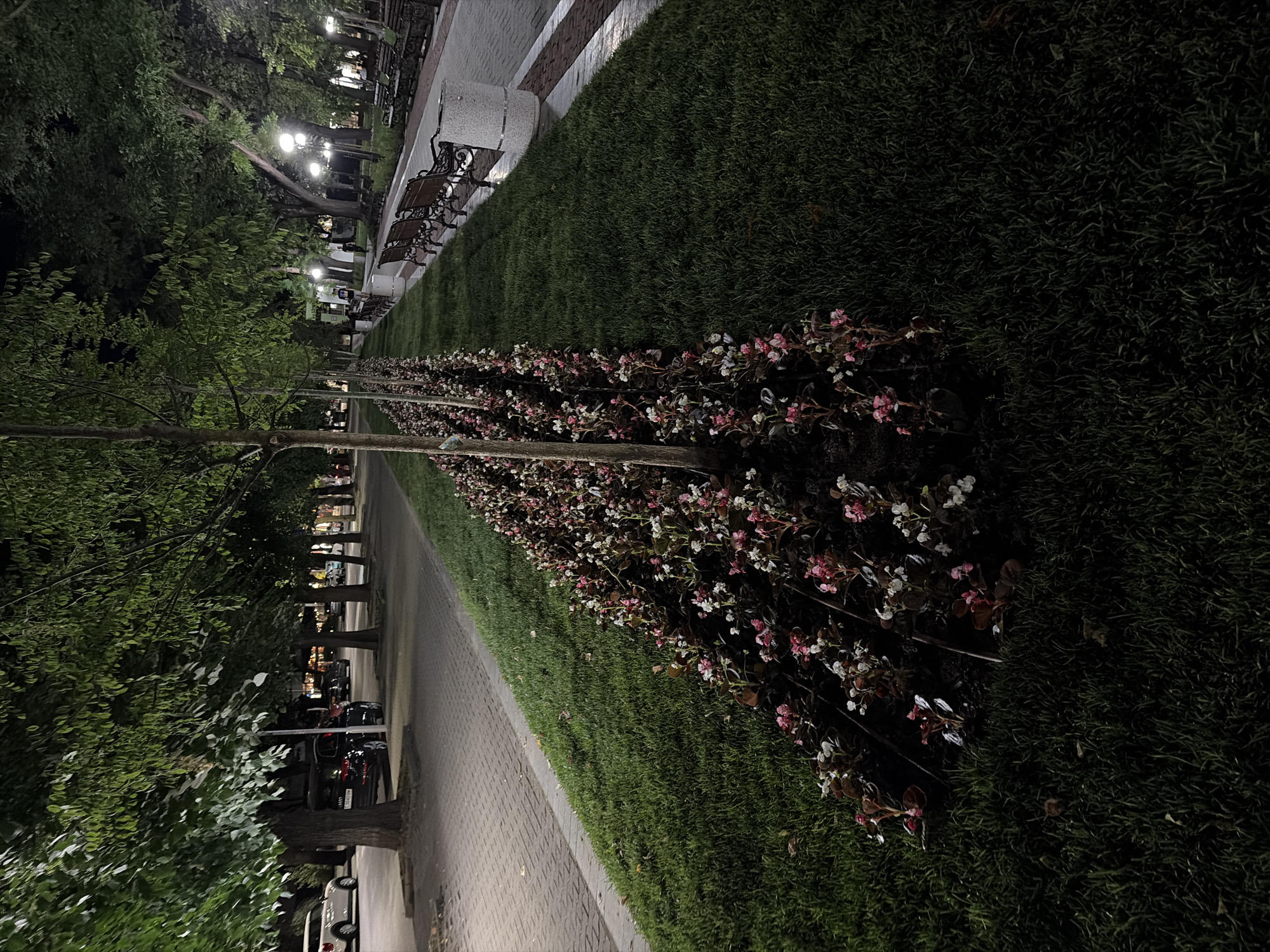 The image depicts a park-like setting at night, likely in Stara Zagora, Bulgaria, as indicated by its context. In the foreground, a long, narrow flowerbed filled with pink and white flowers runs parallel to a well-lit pathway. The flowers appear to be begonias. Adjacent to the flowerbed is a neatly mowed lawn. The pathway is paved with interlocking bricks and is illuminated by streetlights, casting a warm glow. Along the pathway, several wooden park benches with ornate metal legs are visible, some occupied by people. Behind the benches, trees with lush green foliage form a canopy overhead. Further back, a street is visible with parked cars, including a white SUV and a dark sedan. The scene suggests a public urban space designed for relaxation and recreation, actively used in the evening.