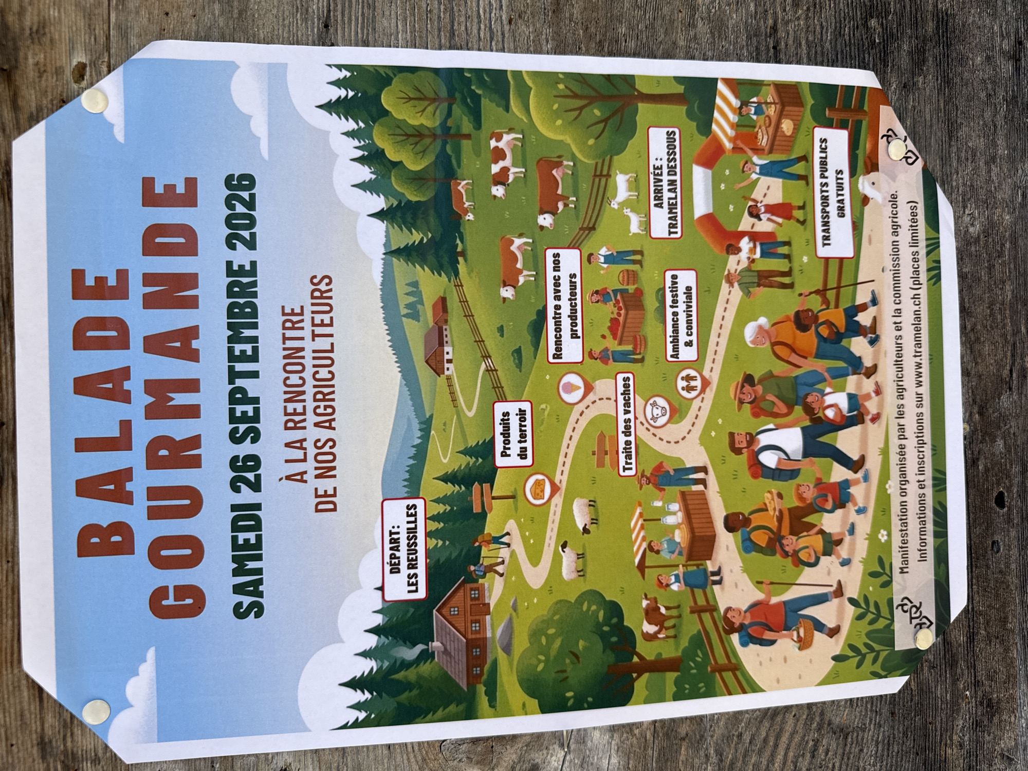 The image is a poster advertising a "Balade Gourmande" (Gourmet Walk) in Petit-Val, Switzerland, scheduled for Saturday, September 26, 2026. The event is described as "À la rencontre de nos agriculteurs" (Meeting our farmers). The poster features a colorful, illustrative scene depicting a pastoral landscape with rolling green hills, trees, farms, and farms animals like cows and sheep.
The poster outlines the event's route. The departure point is labeled "DÉPART: LES REUSSILLES," with an illustration of two hikers at a rustic cabin. Along the path, various activities and points of interest are marked: "Produits du terroir" (Local Products), "Traite des vaches" (Cow Milking), "Rencontre avec nos producteurs" (Meeting our producers), and "Ambiance festive & conviviale" (Festive & friendly atmosphere). The arrival point is marked as "ARRIVÉE: TRAMELAN DESSOUS." The illustration shows people walking along a winding path, some carrying backpacks and baskets. There are also market stalls with produce and baked goods, and farmers interacting with visitors. The bottom of the poster includes text stating that the event is organized by farmers and the agricultural commission, with information and registration available on www.tramelan.ch (limited places). A box at the bottom right indicates "TRANSPORTS PUBLICS GRATUITS" (Free Public Transport). The overall style is cheerful and family-friendly. The poster itself appears to be tacked to a wooden surface.