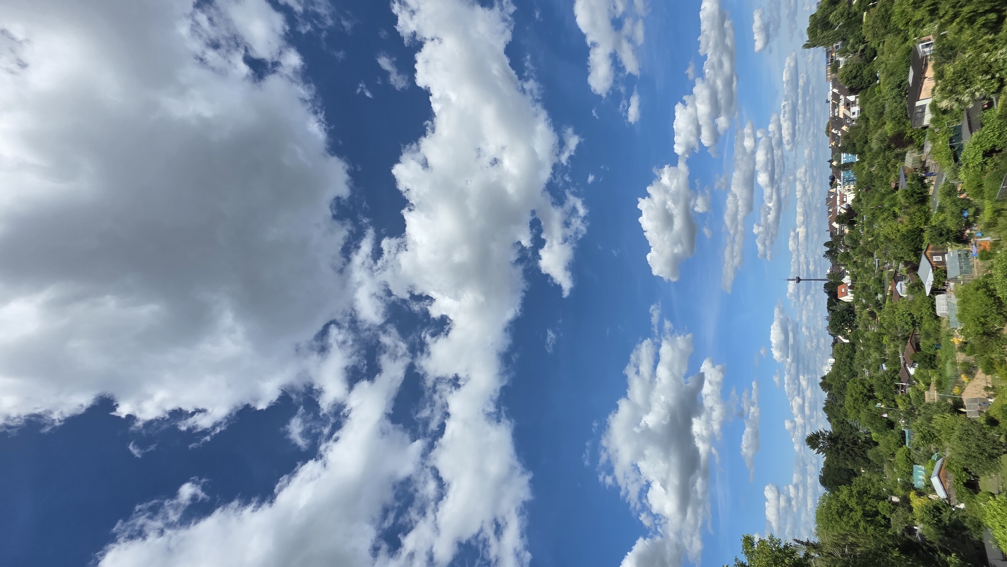 A vertical, eye-level shot captures a vibrant sky filled with fluffy white clouds against a bright blue backdrop, dominating the upper portion of the frame. Below, a verdant landscape unfolds, showcasing an expanse of lush green trees and vegetation. Scattered within this greenery are numerous small, rustic structures, some appearing to be sheds or small houses, nestled amongst the foliage. In the distance, a cluster of buildings forms a town, and a tall, slender tower stands prominently against the skyline. The scene appears to be a suburban or semi-rural area, possibly a park or community garden, under a clear, sunny day.