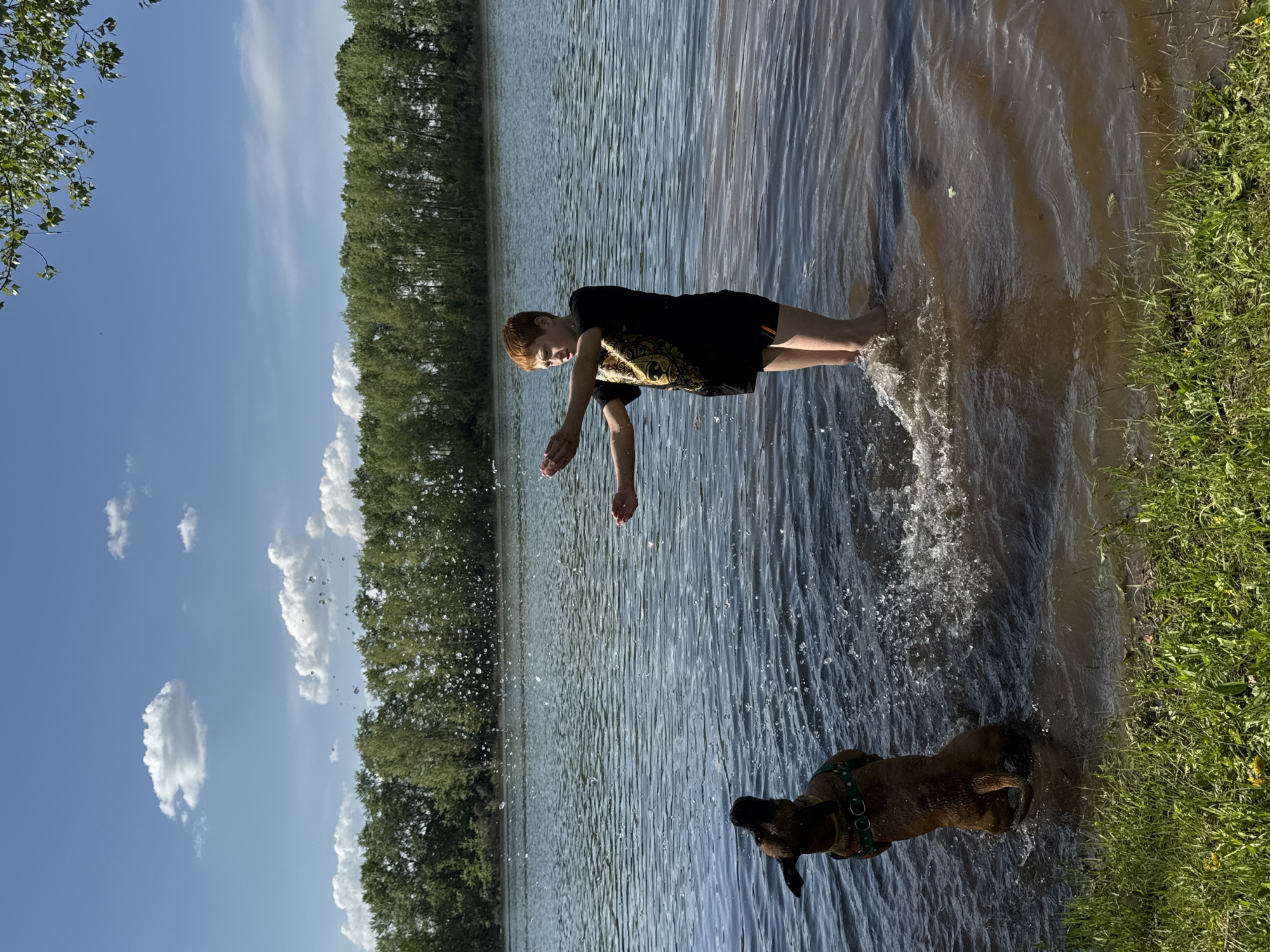 A young red-haired boy in a black shirt and shorts stands in the shallow water of a lake. He has his hands outstretched and is splashing water. A brown dog wearing a collar is also in the water near the boy. The water is murky. Green grass lines the shore. Trees are visible across the lake under a blue sky with some white clouds. The image appears to be taken at a location on a shore near the city of Chaikovsky, Russia.
