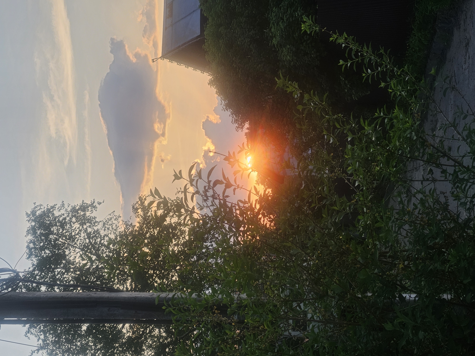 The image, taken outdoors in Rodniki, Russia, shows a sunset peeking through foliage and a building. To the left is a partly cloudy sky with a large, grey cloud. A building is visible, its roofline extending toward the right. The sun is partially obscured by green foliage in the foreground. A wooden power pole appears on the lower left. A concrete wall runs vertically on the right edge.