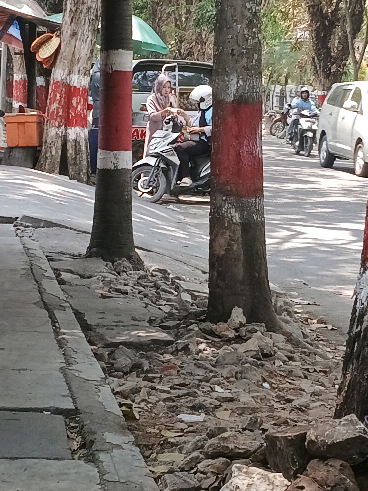 The image depicts a street scene in Purwodadi, Indonesia, characterized by a paved sidewalk with cracked sections and a debris-strewn roadside. Several trees, painted with red and white bands at their bases, line the street. In the foreground, a woman wearing a pink hijab and a man on a motorcycle are visible. The woman is handing an item to the man, who is wearing a white helmet. Further down the street, another person on a motorcycle, also wearing a helmet, is visible. A light-colored car is parked on the right side of the road. The environment appears to be an outdoor, possibly urban or semi-urban setting, with foliage visible in the background.