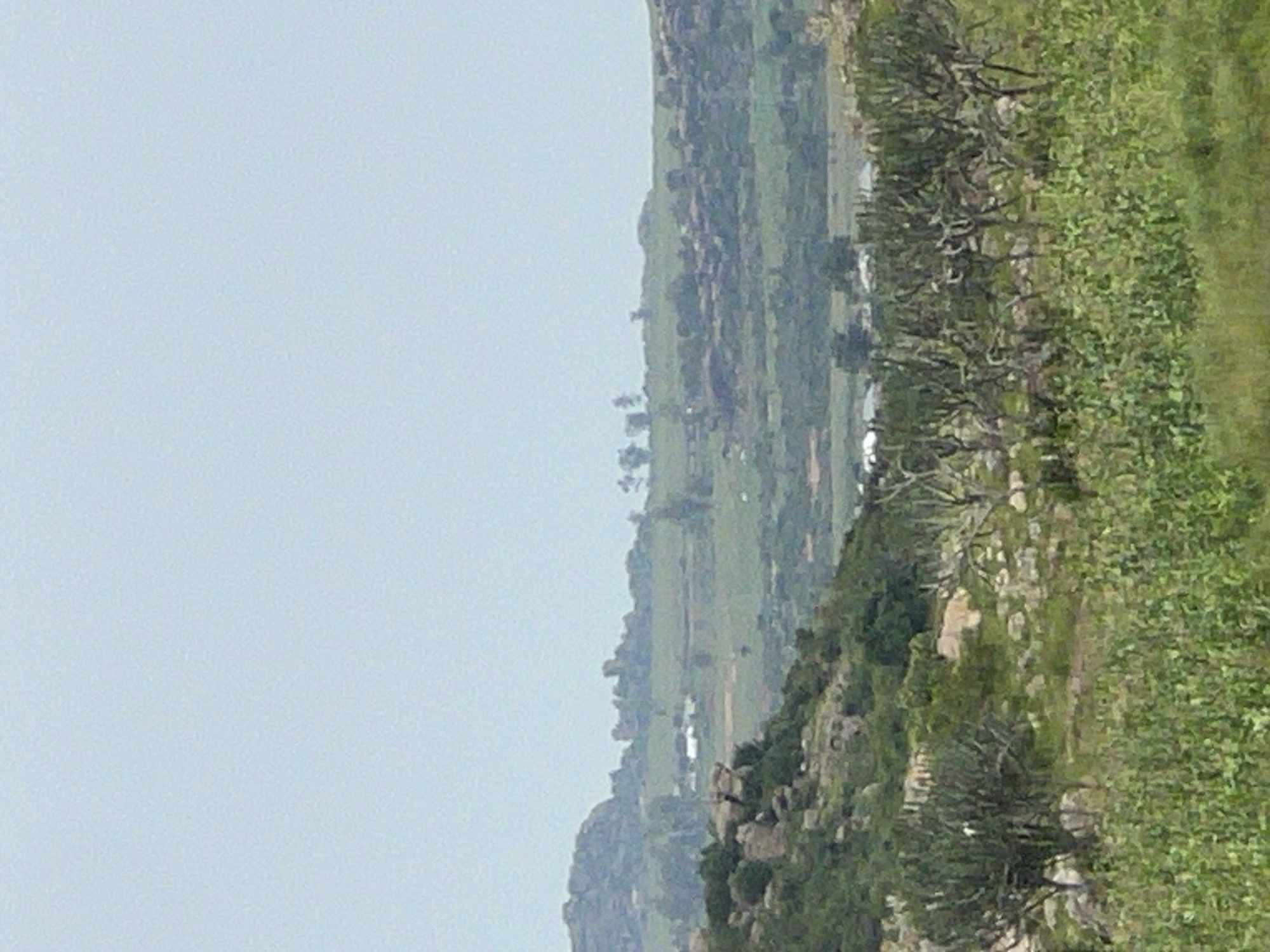 The image depicts a broad, hazy landscape with a clear sky occupying the upper portion. The middle ground features rolling hills covered with sparse vegetation, dotted with rocks and clusters of trees. In the distance, several small structures, possibly houses, are visible. The foreground is dominated by dense, green foliage, with some thorny trees and rocks interspersed. The overall impression is one of a rural or semi-arid environment in a somewhat undeveloped area.