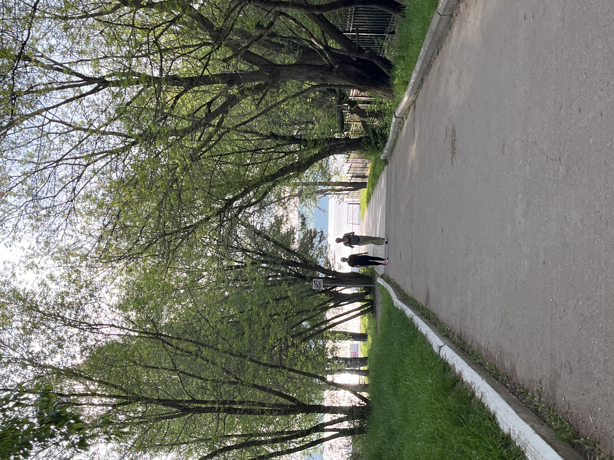 The image depicts a paved pathway in Chaikovsky, Russia, flanked by a line of trees providing shade. Two people are walking along the pathway, appearing small in the distance. Grass and a white concrete curb border the path on one side. A metal fence is visible through the trees on the opposite side of the path. The sky is visible through the trees.