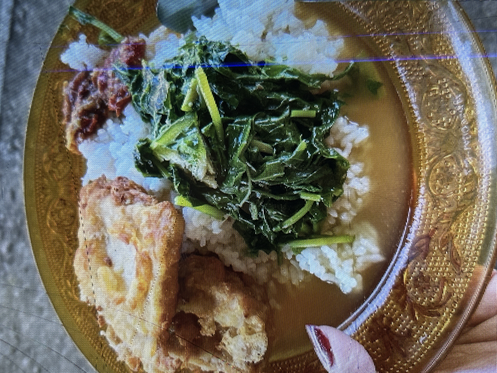 This is a close-up, top-down shot of a plate of food, likely taken indoors. The plate is ornate and golden, with a raised, patterned rim. The food itself consists of white rice, topped with a generous portion of cooked green leafy vegetables. To the left of the vegetables are two pieces of fried food, appearing to be golden brown and possibly chicken or fish. There is also a small dollop of a reddish condiment or relish next to the fried items. The overall scene suggests a meal is being served or presented. The lighting appears to be artificial, and there are some horizontal lines across the image, possibly due to the recording medium or display. The context provided places this scene in Depok, Indonesia, suggesting it's a local dish. No people are clearly visible, only a hand holding the edge of the plate with painted fingernails is partially in view. No text is visible in the image. The focus is entirely on the food.