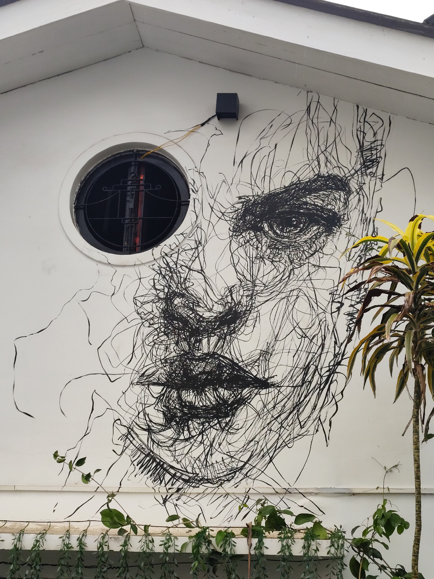 A low-angle shot shows a stylized black-and-white mural on the exterior wall of a building in Da Lat, Vietnam. The mural depicts a human face composed of chaotic, scribbled lines that form the features. An oval window with a black frame is positioned to the left of the face, and a black square object is affixed to the wall above the face. The wall is white, and the building has a slightly overhanging roof. Green vegetation, including vines and a thin tree with yellow-and-green striped leaves, grows along the base of the wall and on the right side of the mural.