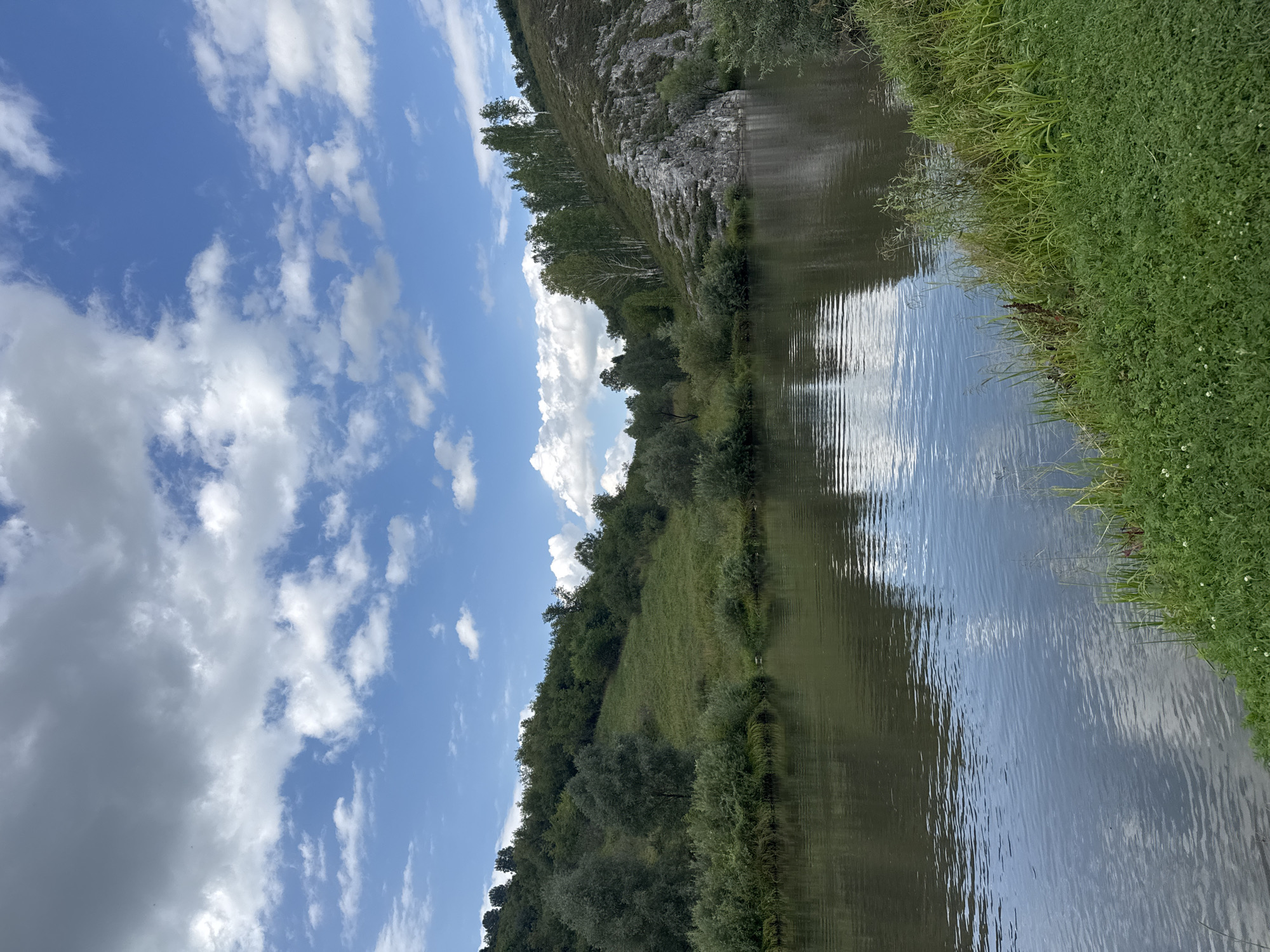 The image shows a natural landscape scene with a river in the foreground and rolling hills covered in greenery in the background. The sky is partly cloudy with white and gray clouds scattered across a bright blue expanse. The river water is calm and reflects the sky and surrounding landscape. The left side of the image features a lush green slope dotted with trees and bushes. On the right side, a rocky outcrop rises from the hillside, also covered in sparse vegetation. The lower right corner of the image shows a grassy bank with small white flowers. The scene appears to be a serene natural environment, possibly a park or a natural reserve in the vicinity of Soloneshnoye, Russia, given the style of vegetation and terrain. There are no people or man-made structures visible in the frame.