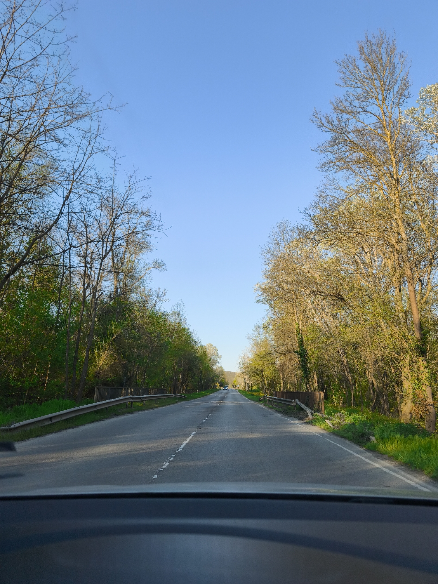 The image presents a forward-facing view from inside a vehicle, capturing a tree-lined road near Staro Oriahovo, Bulgaria. An asphalt road, marked with a dashed white center line, stretches into the distance, appearing to curve slightly. Silver guardrails, showing signs of age or rust, run parallel to the road on both sides.
The roadside is densely bordered by trees and vegetation. Many trees on the left side of the road have mostly bare branches, indicating late winter or early spring, with some showing hints of new light green foliage. On the right, the trees appear more developed, with sunlit, vibrant green leaves. Green grass and undergrowth are also visible along the shoulders of the road.
The sky is a clear and bright blue, with no clouds. The lighting suggests either early morning or late afternoon, as long shadows from the trees on the left are cast across the road surface. In the far distance, several light-colored vehicles can be seen on the road. The top edge of a car's dashboard or steering wheel is visible at the very bottom of the frame, establishing the perspective of being on the move. The scene conveys a sense of peaceful travel through a natural, awakening landscape under clear skies. No visible text is present in the image.