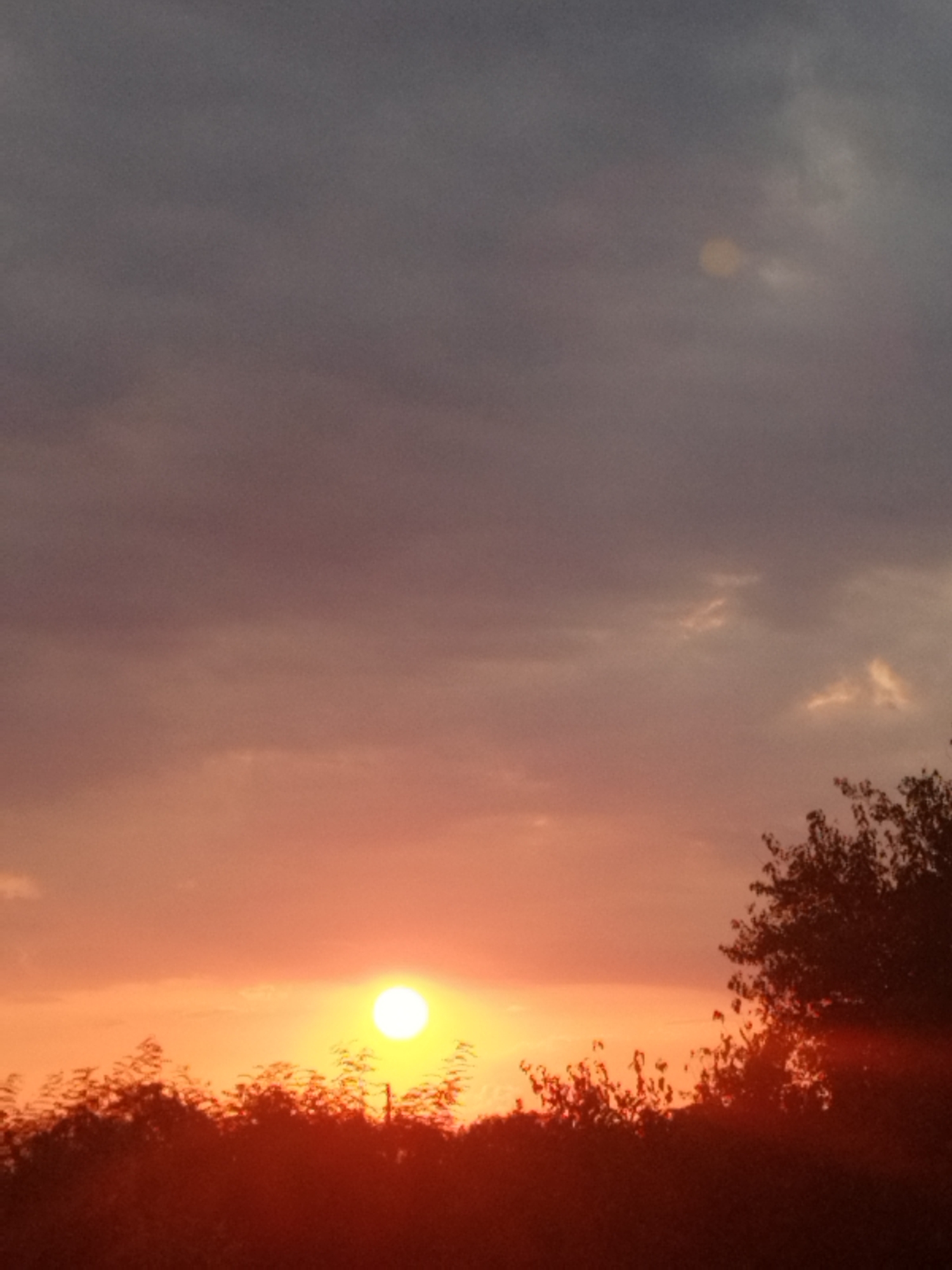 The image depicts a sunset over a silhouette of trees, creating a warm, fiery glow against a dusky sky. The sun, a bright orb, is positioned towards the left side of the frame, casting a vivid orange hue across the clouds. The foreground is dominated by the dark, indistinct shapes of foliage, suggesting a natural or park-like setting. The sky transitions from a deep gray at the top to a warm orange and yellow gradient closer to the horizon. There are no people or buildings visible in the frame. The scene evokes a peaceful, natural ambiance, characteristic of an outdoor panorama during dusk. The image does not provide any specific geographical markers to identify its location within Bucharest, Romania, or any other city.