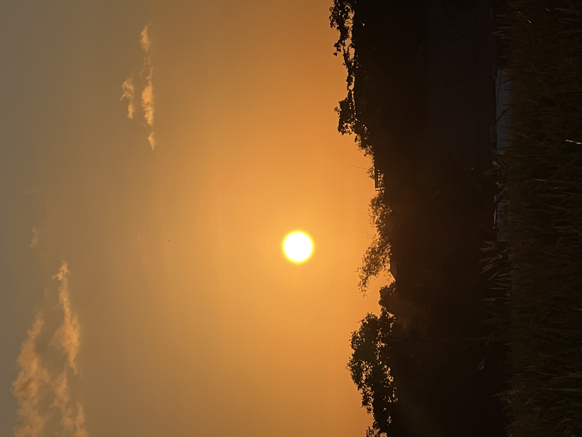 A vertical shot shows a golden sky in North Kuta, Indonesia, during sunset. The sun, a bright white circle, dominates the center of the frame. To the right, silhouetted trees and grass create a dark, irregular border. Faint, elongated clouds are visible in the upper left of the sky.
