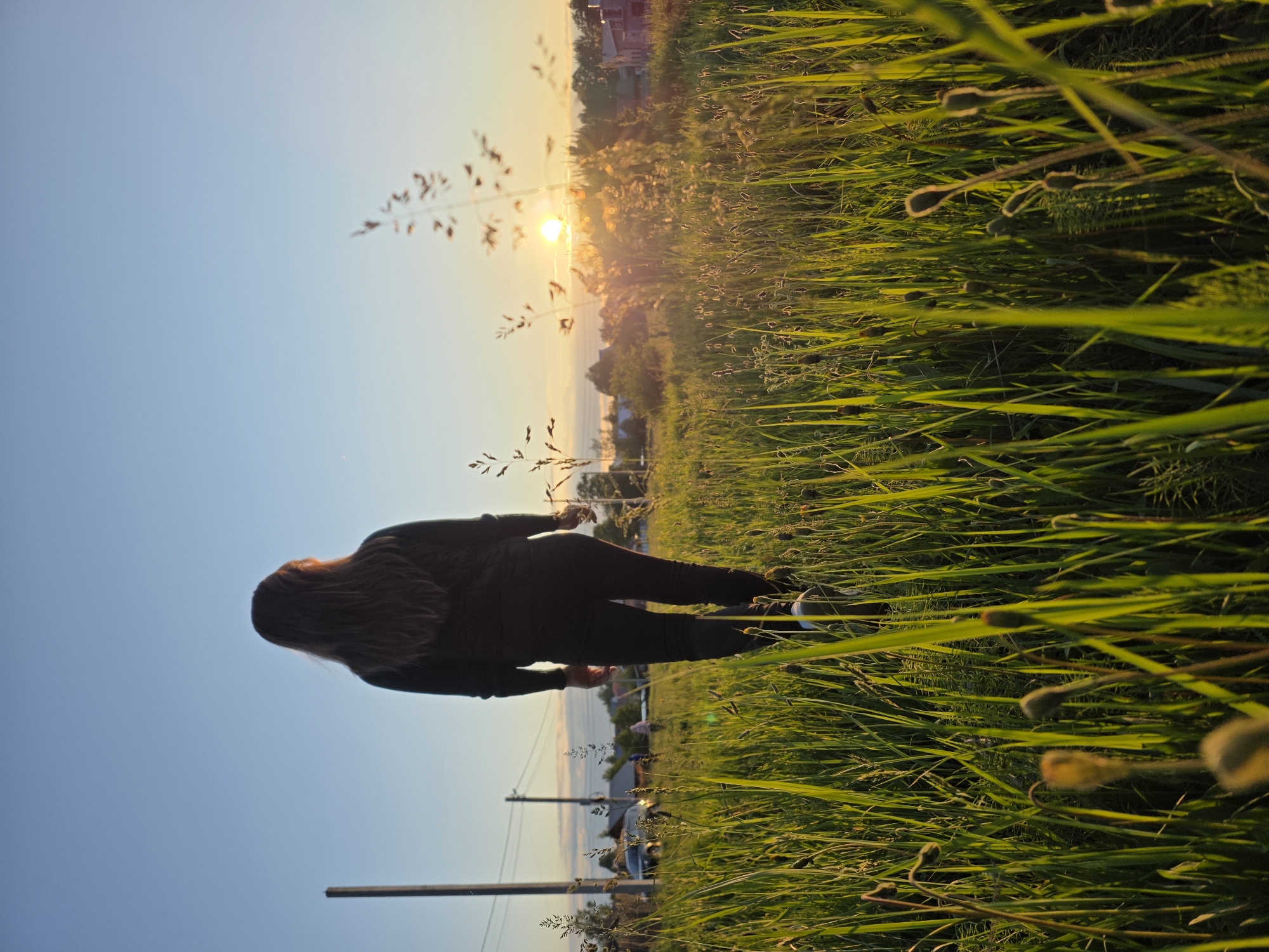 This vertical image, captured in Chaikovsky, Russia, depicts a serene sunset scene in a grassy field. The primary subject is a person, seen from behind, standing amidst tall, lush green grass. The individual has long, dark hair and is dressed in dark clothing, including a long-sleeved top and pants. They are looking towards the horizon where the sun is setting.
The time of day is clearly sunset, with the sun appearing as a bright, golden orb low on the right side of the horizon. Its warm light backlights the person and illuminates the tips of the tall grass, creating a radiant glow. The sky above is a gradient of clear blue, transitioning to soft yellow and orange hues around the sun.
In the mid-ground, beyond the field, distant trees and structures, possibly houses or other buildings, are silhouetted against the bright sky. A body of water, likely the Kama Reservoir or Kama River, is visible in the far distance, reflecting the fading light. Utility poles and wires are also present in the lower left portion of the image.
The foreground is filled with dense green grass, featuring various seed heads or small flowers, some of which are subtly highlighted by the sun's warm glow. The overall scene evokes a sense of tranquility and contemplation, highlighting the natural beauty of the sunset. There is no visible text in the image.