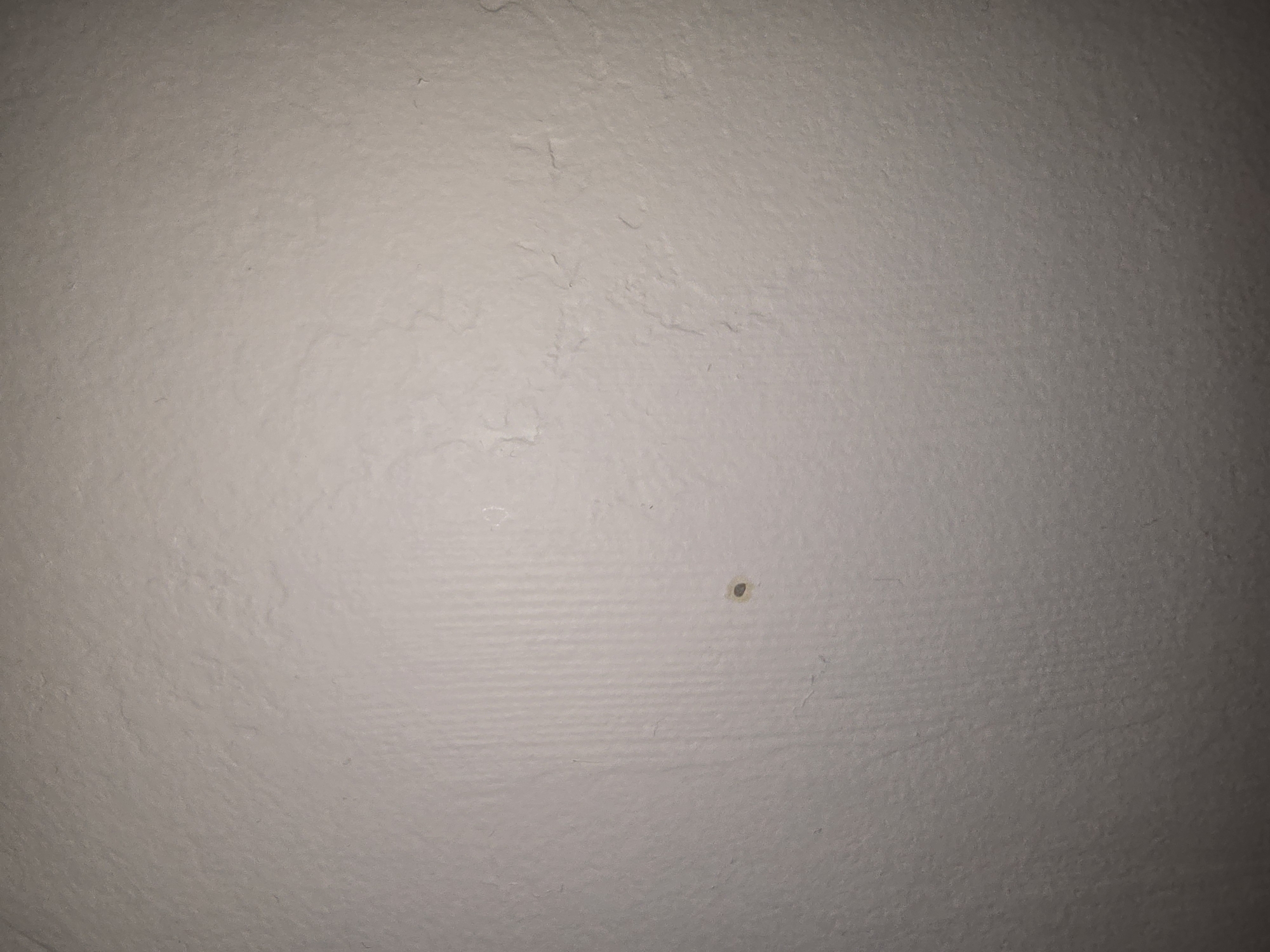 The image shows a close-up of a textured, light-colored wall. There is a small, dark speck or mark on the wall, slightly to the left of the center of the frame. The lighting creates subtle shadows and highlights on the wall's surface, emphasizing its texture. The environment appears to be indoors, likely a residential or commercial space, given the typical appearance of a painted wall. There are no people, furniture, or other objects visible in the frame, and no identifiable landmarks or context to suggest a specific location in Ulan-Ude, Russia.
