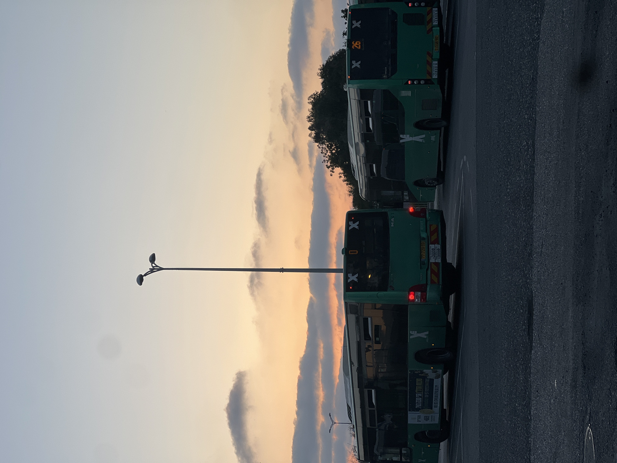 The image captures a serene view of a row of green public transport buses parked alongside an asphalt road in Kiryat Motzkin, Israel, likely at a depot or station. The scene is dominated by a colorful sky exhibiting a gradient from light blue-grey on the left to warm orange and yellow hues on the right, indicative of either sunrise or sunset. Several elongated clouds are present, catching the soft light.
A tall street light stands prominently in the mid-ground, silhouetted against the bright sky. Behind the buses, dark green foliage from trees is visible, also silhouetted. The road surface appears dark and possibly damp. No people or active events are depicted; the buses are stationary.
Notable details include the specific design of the green buses, which are typical for public transportation in Israel. Visible text on the rear of the buses includes the route number "26" and manufacturer names like "Mercedes-Benz" (partially visible) and "MAN". Israeli license plates such as "77-729 69", "23-46-102", and "071877" are clearly identifiable. Other numbers like "+2800" and "0" are present. The buses also feature a distinctive "X" logo. Advertisements or signs on the side of one bus display Hebrew text, including "טובה בעיר." (Good in the city.) and "מגורים" (Residency/Housing). The overall mood is calm, characteristic of either early morning or late evening.