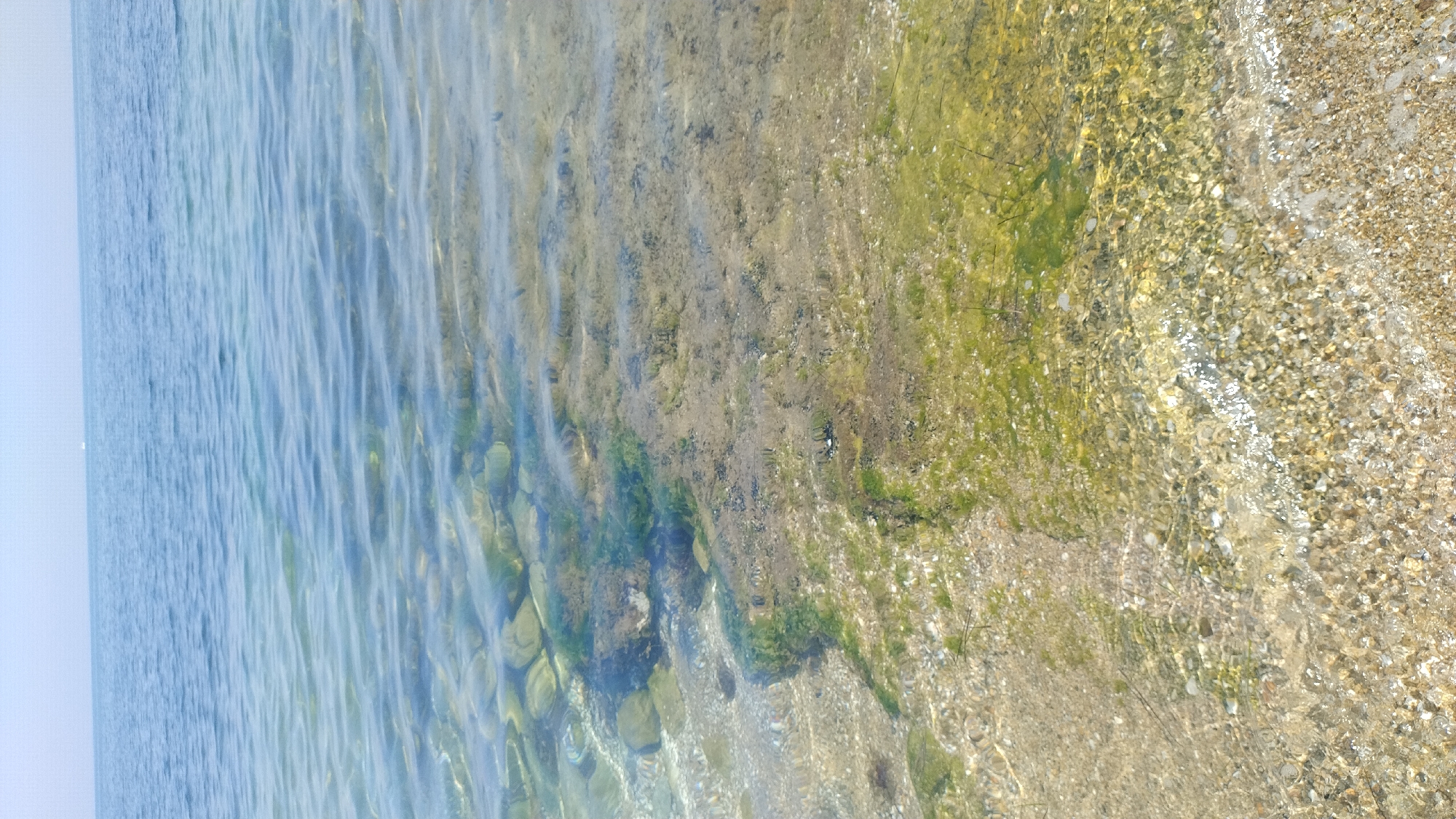 The image presents a detailed view of a coastal area in Thermi, Greece, focusing on the calm, clear waters of the sea meeting the shore. The upper portion of the frame shows a light blue, clear sky transitioning to the horizon, where a vast expanse of open sea, slightly darker blue, extends. A faint, distant white object is visible on the sea surface at the horizon line.
The water closer to the viewer is highly transparent, revealing the seabed and shoreline. In the mid-ground, below the open sea, various large, smooth, rounded rocks are visible beneath the water, interspersed with patches of dark green aquatic vegetation, likely algae or seaweed. The seabed in this area also shows lighter, sandy or gravelly patches.
Moving towards the foreground, the water becomes shallower, clearly exposing a terrain composed of small, light-colored pebbles, gravel, and sand. Significant coverage of bright green aquatic vegetation is spread across this pebbly and sandy substrate, both submerged and at the water's edge. Gentle ripples on the water's surface create refractive patterns on the submerged elements. The immediate foreground consists of wet, fine-grained sand and small pebbles, indicating the very shallowest part of the shoreline. There are no individuals or prominent man-made objects depicted in the scene.