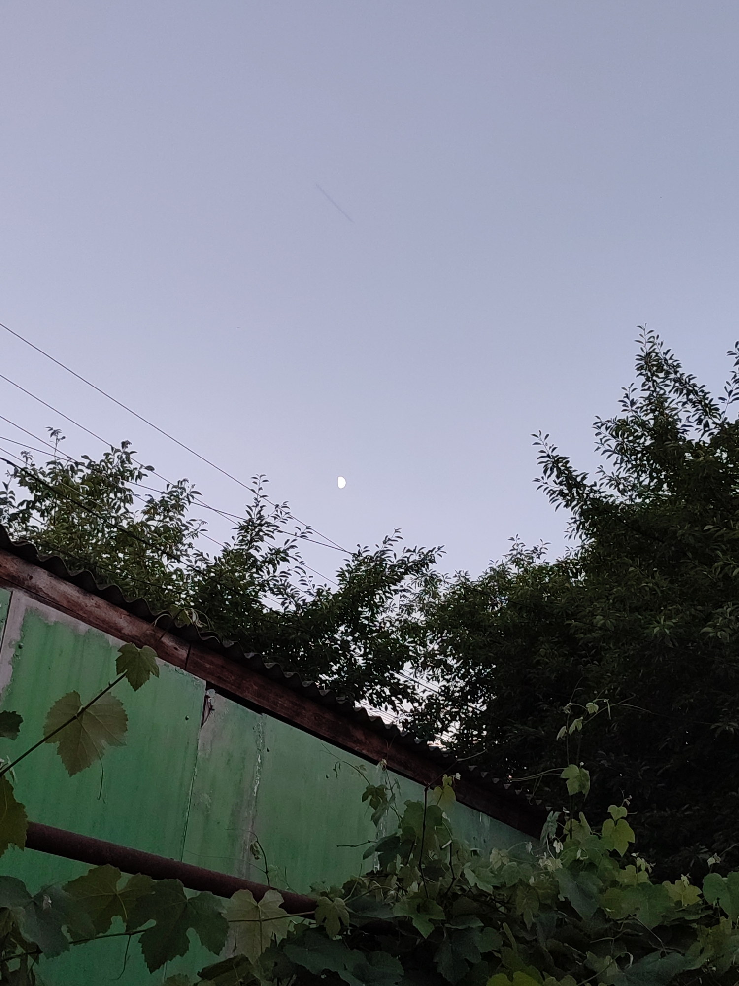 The image depicts an outdoor scene with a clear, pale sky that suggests either early morning or late evening. A sliver of the moon is visible in the upper right quadrant of the sky. In the foreground, a weathered, light green structure with a corrugated metal roof runs along the bottom of the frame. This structure appears to be a building or shed, with a wooden beam supporting the roof. Overhanging the structure and stretching across the middle of the image are lush green trees and vines, their leaves silhouetted against the sky. Several power lines are strung horizontally across the upper portion of the image, passing behind the foliage. The overall impression is one of a rustic, possibly rural setting, with hints of encroaching nature on man-made structures. There are no people visible, and no text is present. The atmosphere is calm and serene.