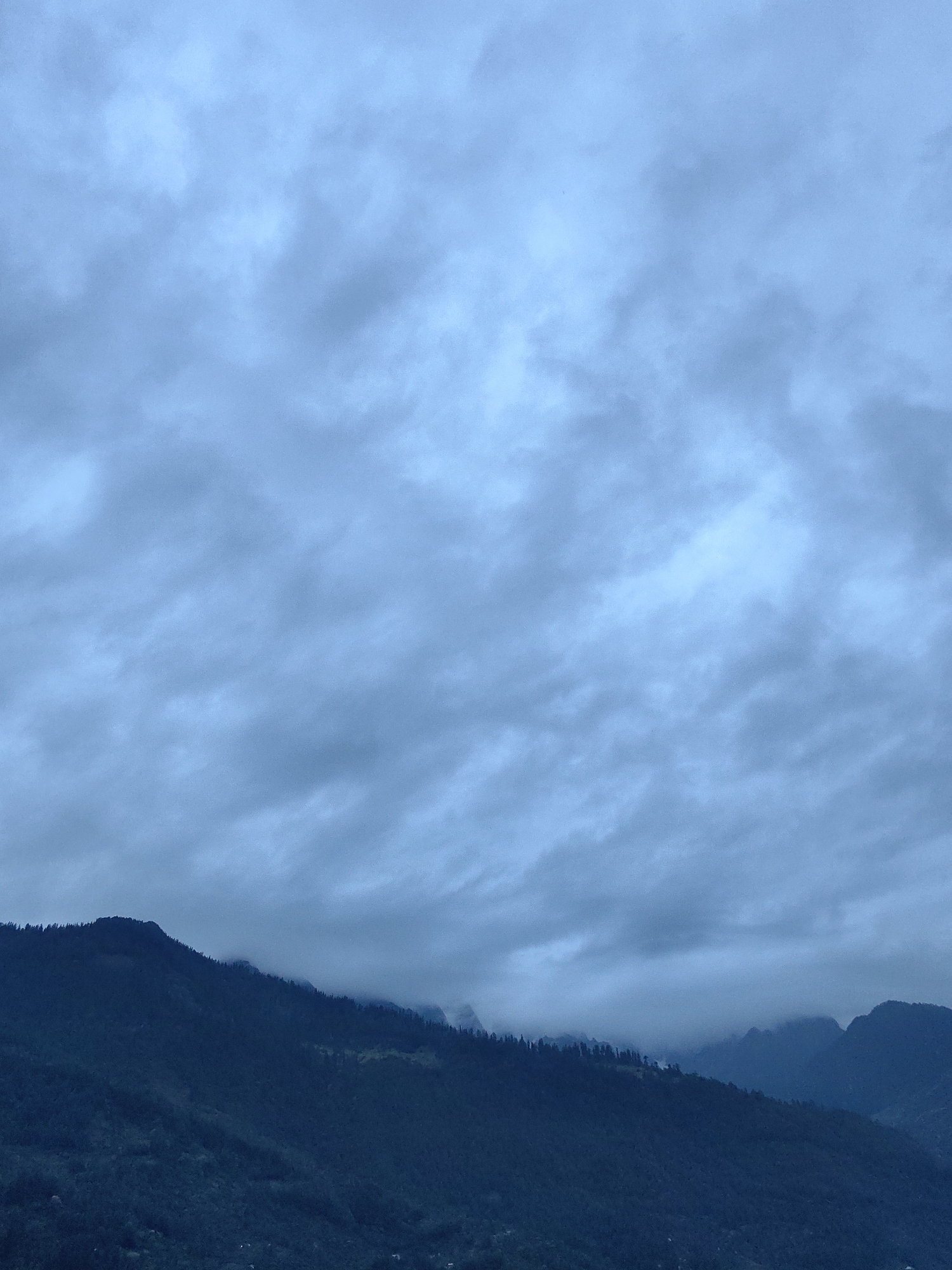 The image shows a panoramic view of the mountains surrounding Vashisht, India. The sky is overcast with heavy, textured clouds in shades of grey and blue. The upper portion of the image is dominated by the sky, with some patches of lighter blue suggesting a break in the clouds or thinner cloud cover. Below the sky, the dark, verdant slopes of the mountains stretch across the frame. The mountains are densely covered in trees, with the treeline forming a jagged silhouette against the sky in some areas. Patches of fog or low-lying clouds are visible clinging to the mountain ridges, adding to the moody atmosphere. The overall color palette is cool and subdued, dominated by blues and greys, suggesting either early morning or late evening, or a day with persistent cloud cover. No people or specific structures are discernible in the image, emphasizing the natural landscape.