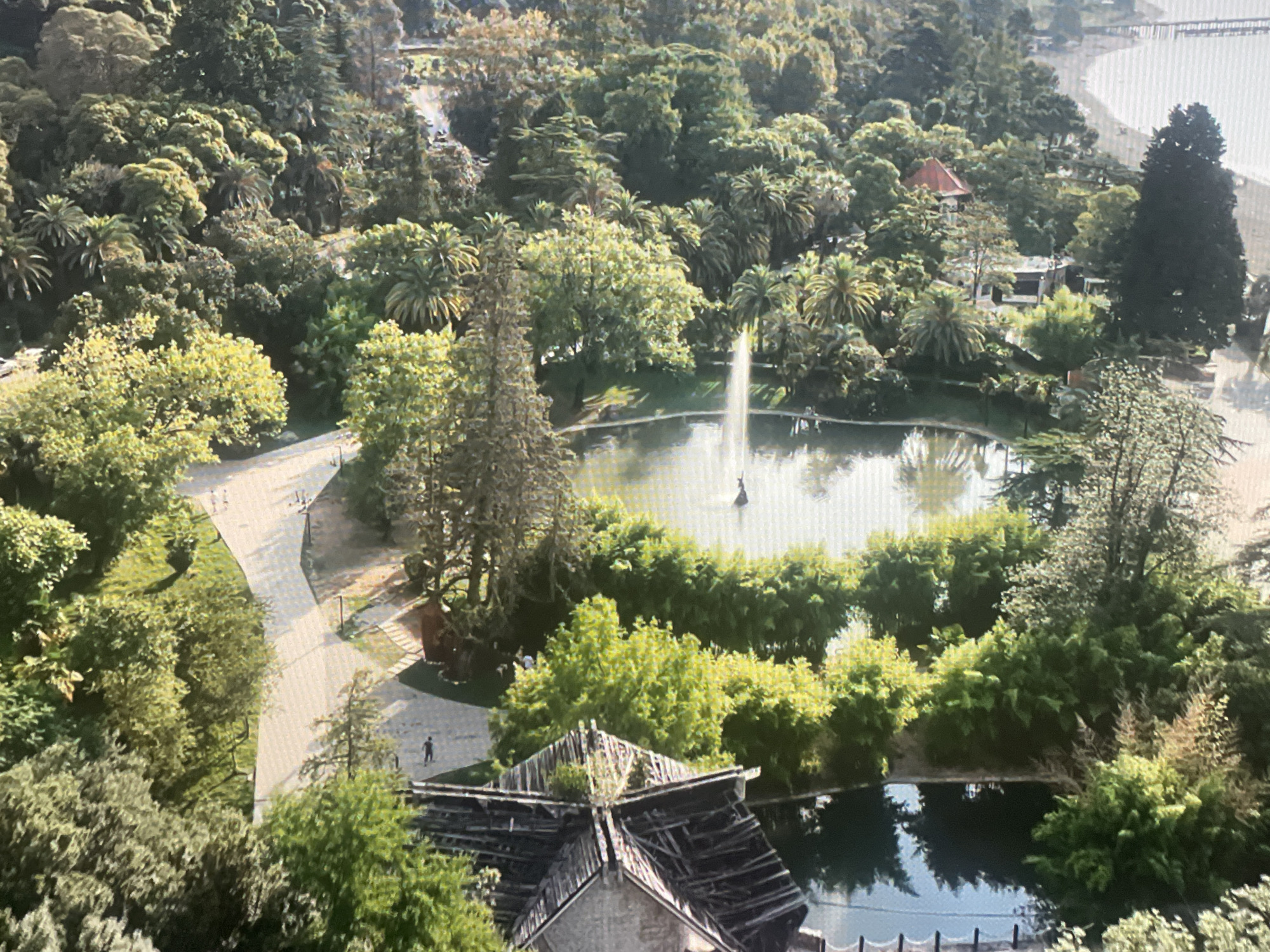 The image displays an aerial view of a park in Sokhumi, Abkhazia, featuring lush greenery, a pond with a fountain, and a partially dilapidated building. The park is densely populated with various trees, including palms and evergreens, creating a vibrant natural landscape. A paved pathway winds through the park, with a few individuals visible walking along it. In the center of the park, a pond with a prominent fountain is surrounded by dense foliage. In the foreground, a building with a partially collapsed wooden roof is partially visible. In the distance, a body of water, likely the sea, can be seen, with a pier extending into it. The overall impression is of a once-grand park that is now showing signs of age and neglect, yet still retains its natural beauty.